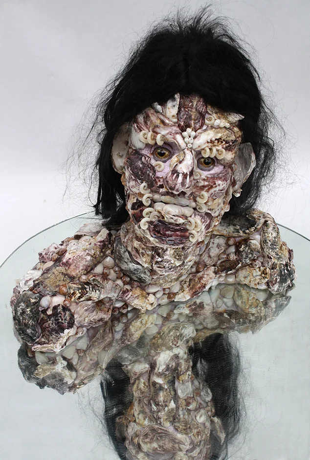 Rock Star 2012 Nylon Wig, artificial fish eyes, mirror