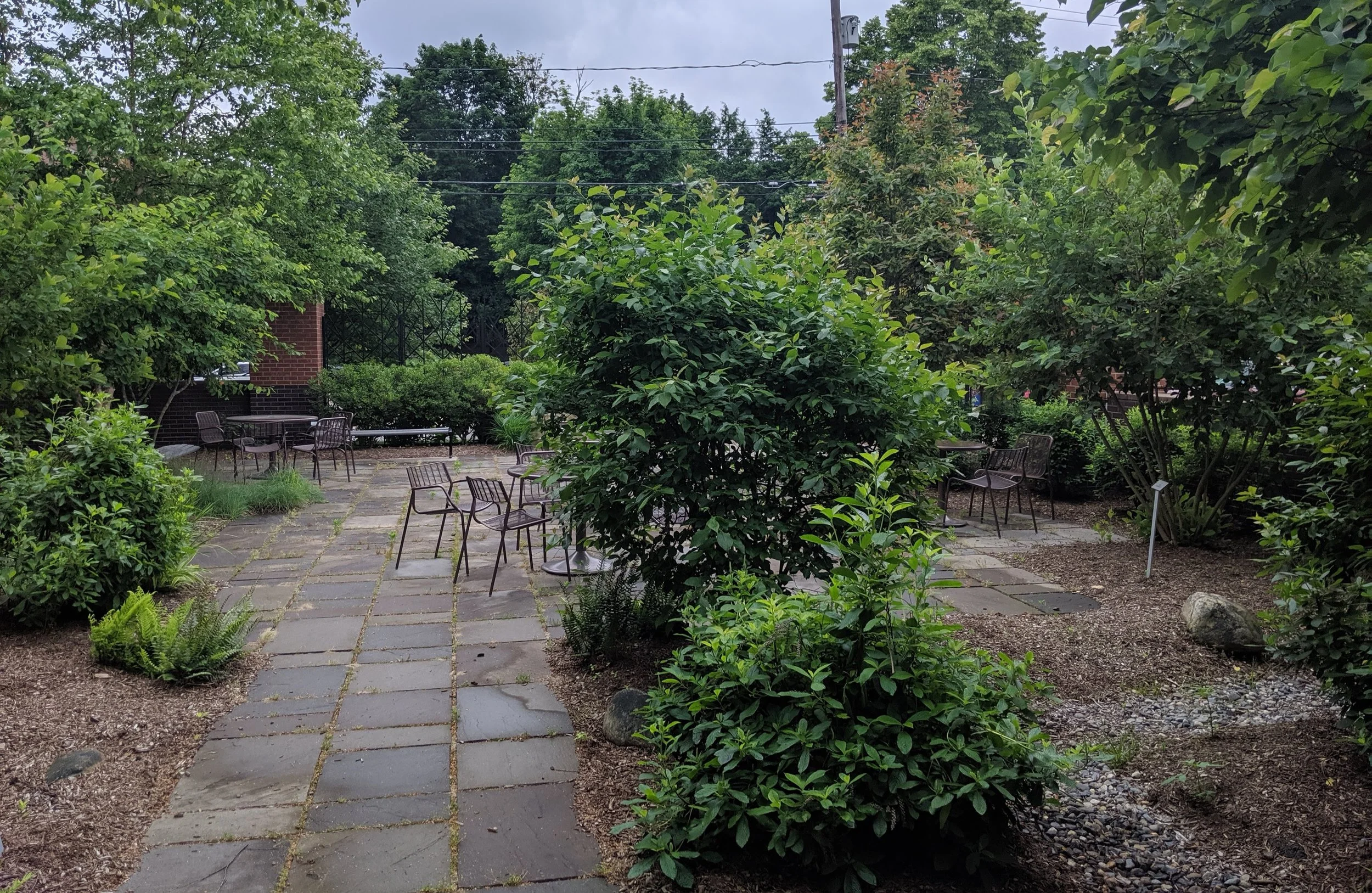 The reading garden.