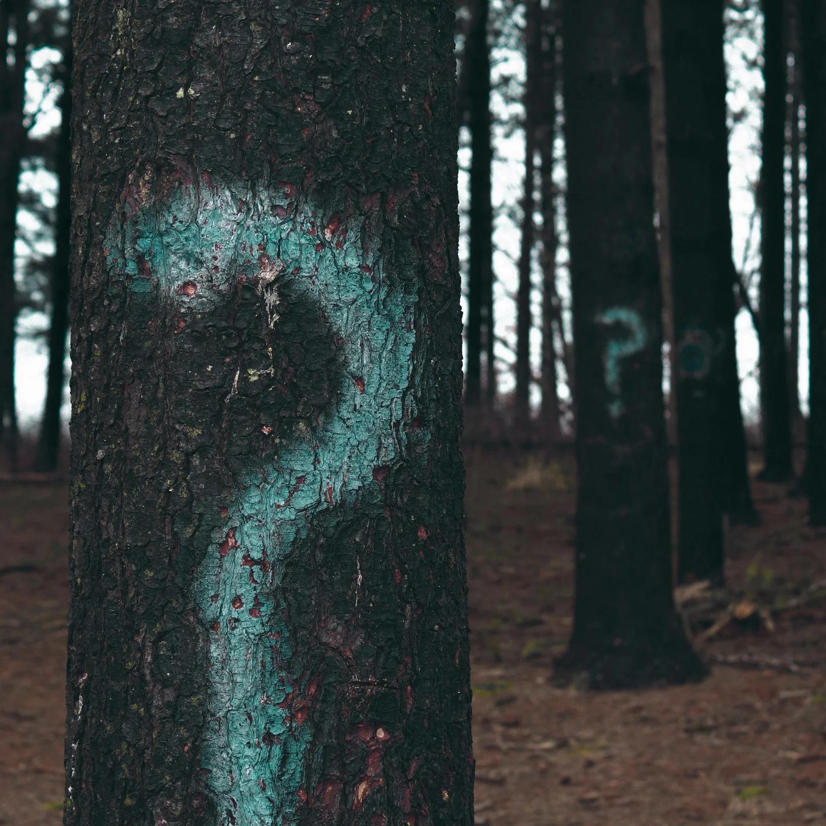 The Week in Library Land: June 30th to July 6th