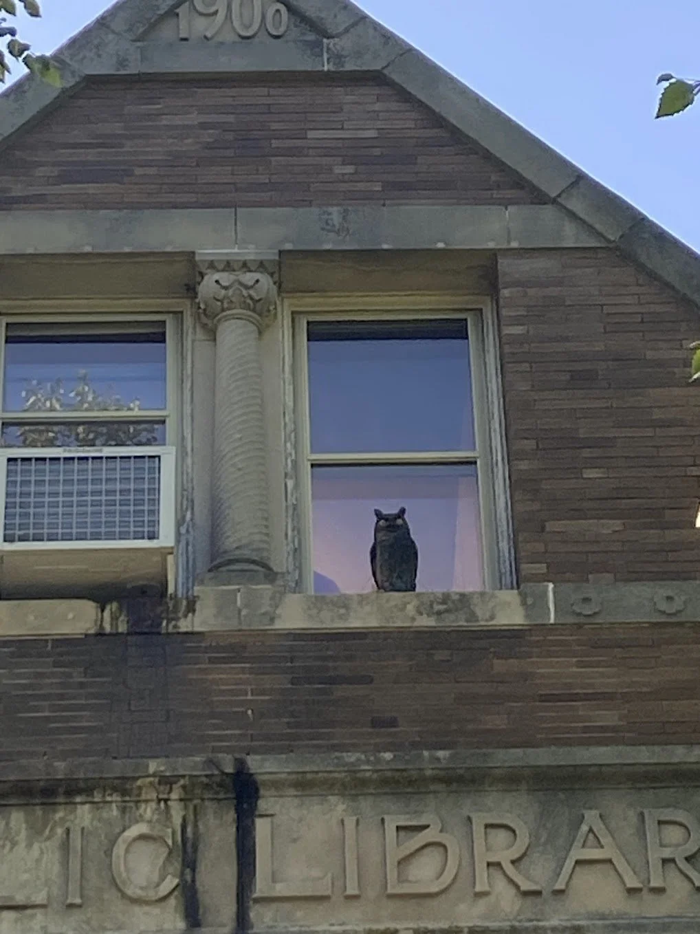 amsbury owl.jpg