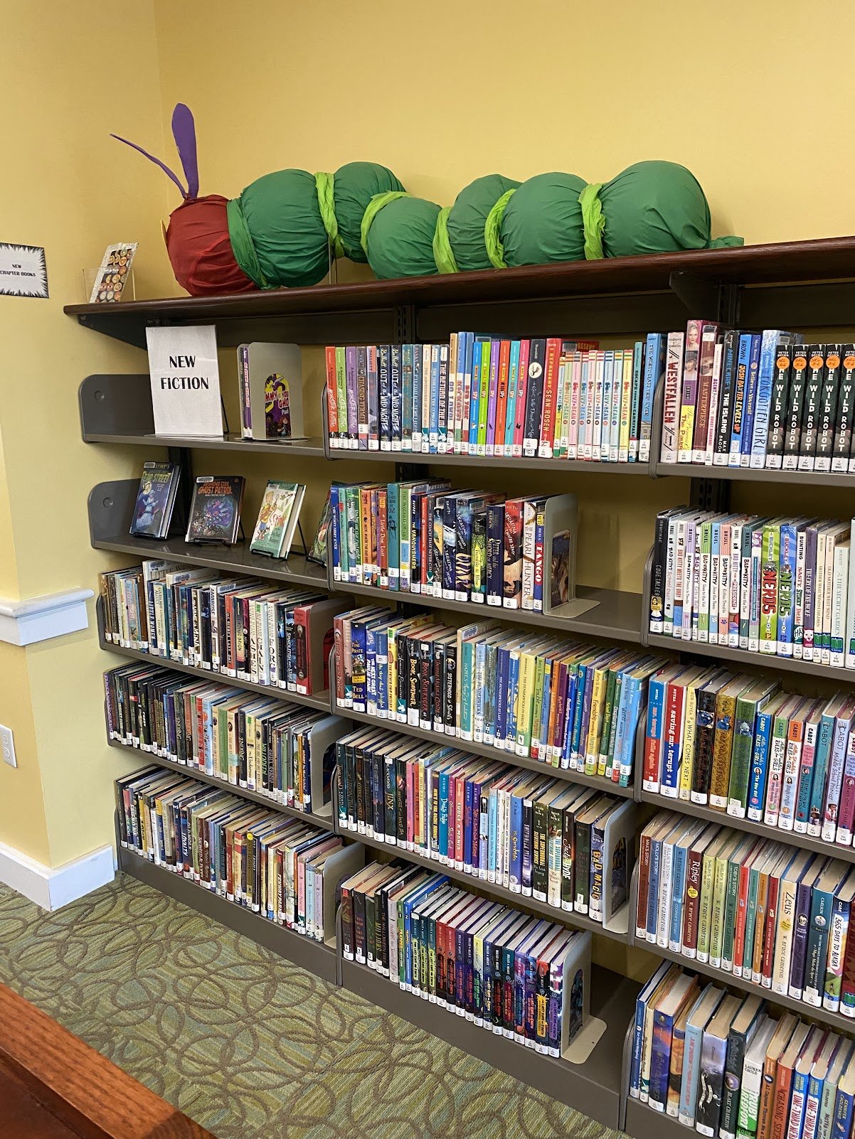 salisbury childrens 3.jpg