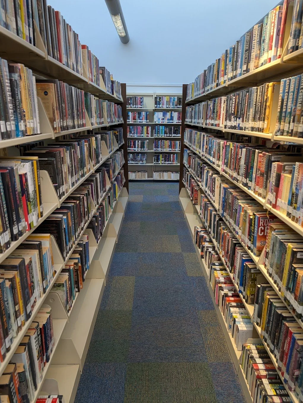 Sanford - stacks1.jpg