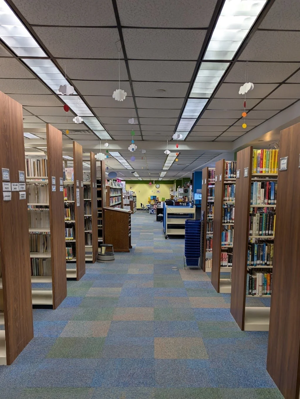 Sanford - stacks2.jpg