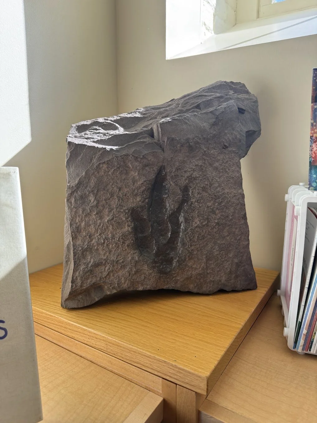 monson - childrens5.jpg