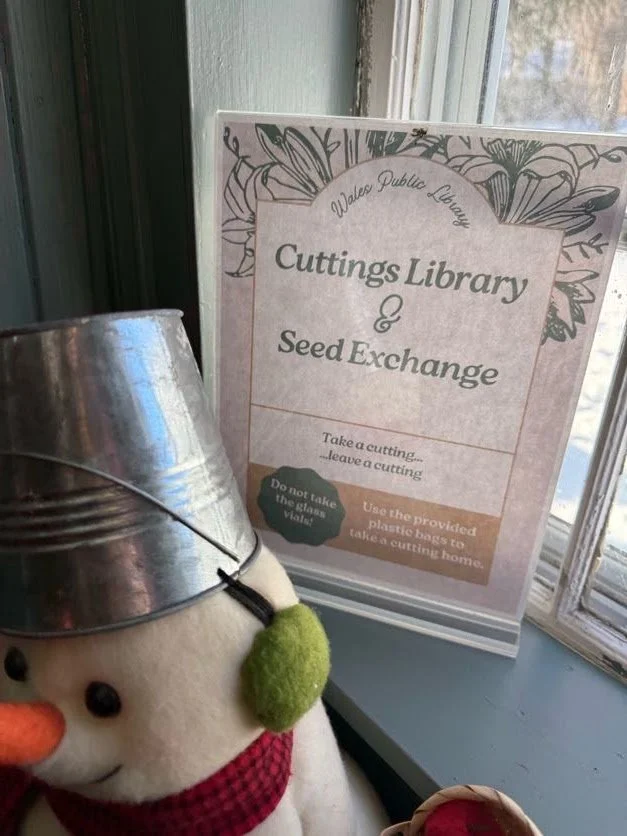 wales - plant swap 2.jpg