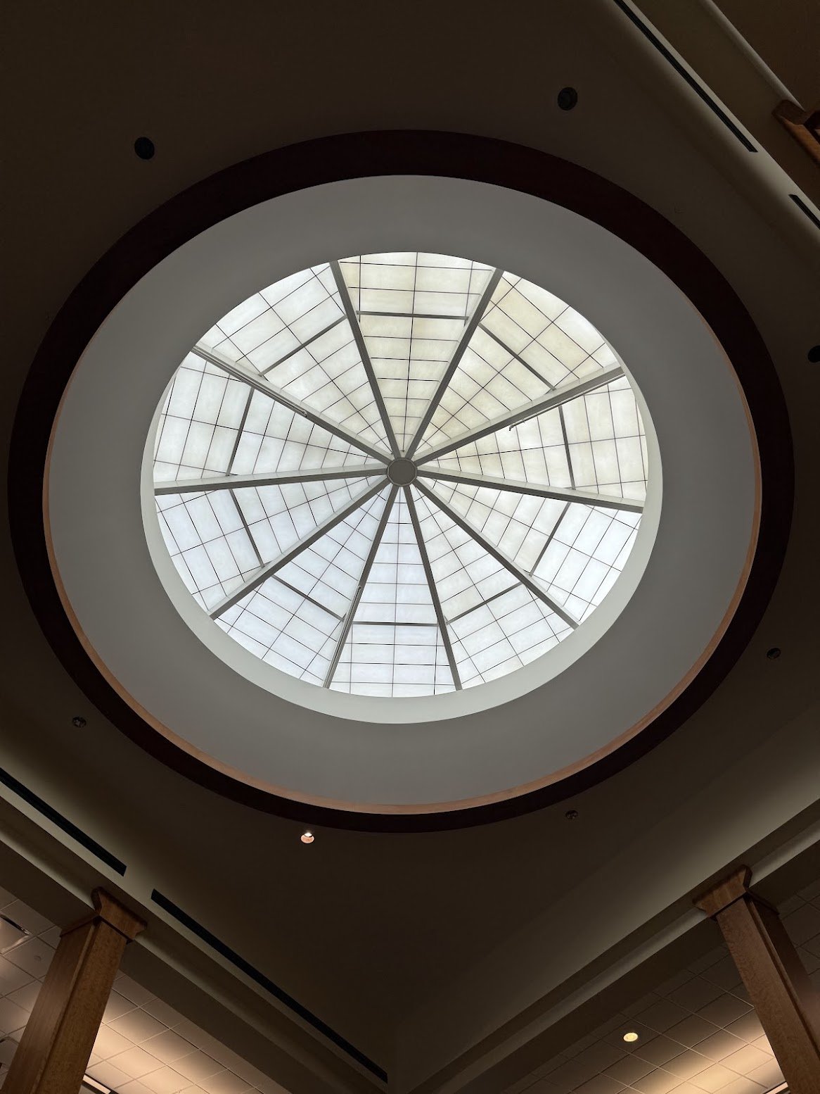 gardner - sky light.jpg