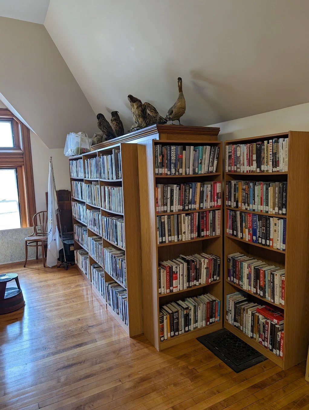 warren collection1.jpg