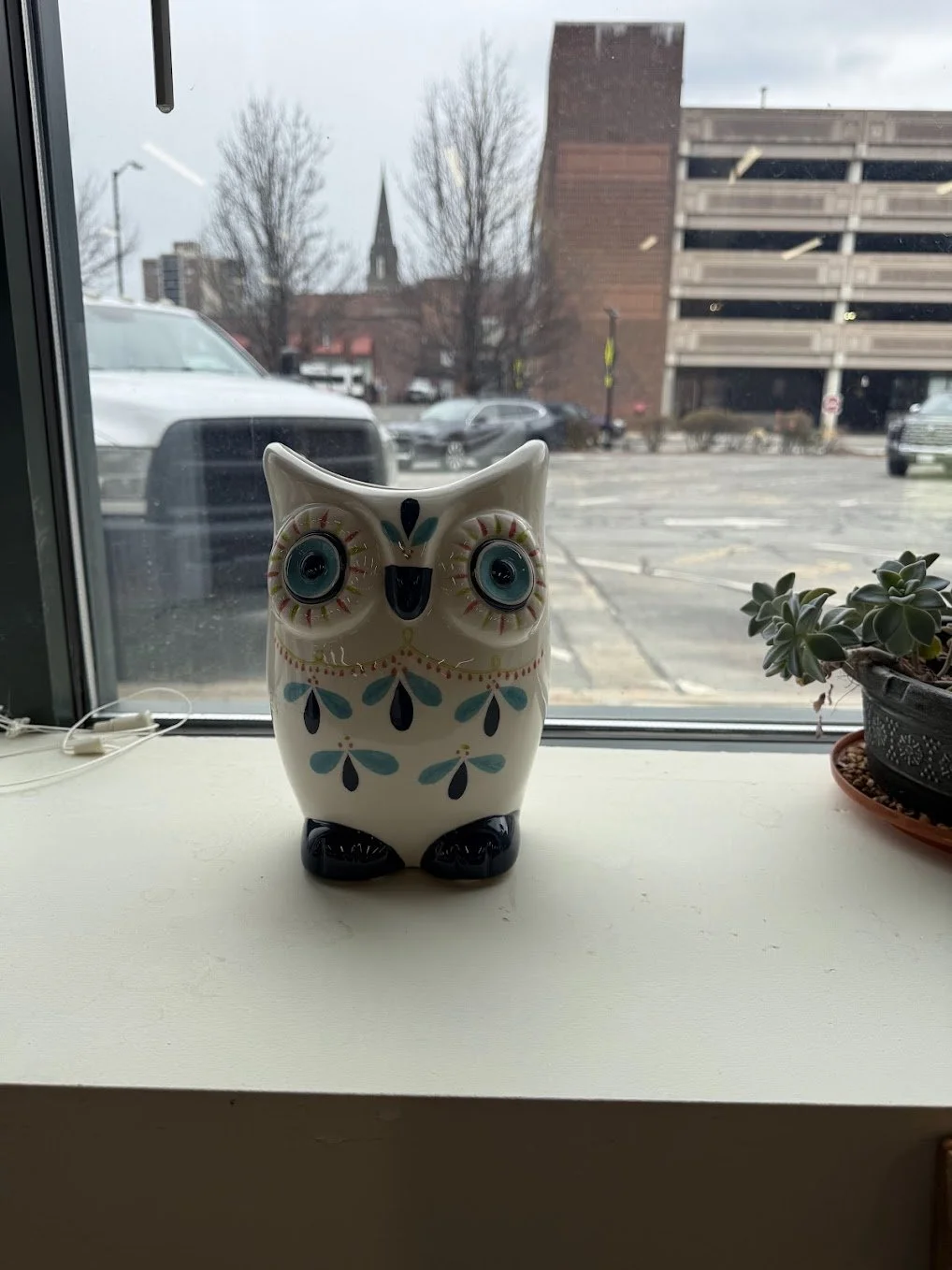 Fitchburg - owl 1.jpg