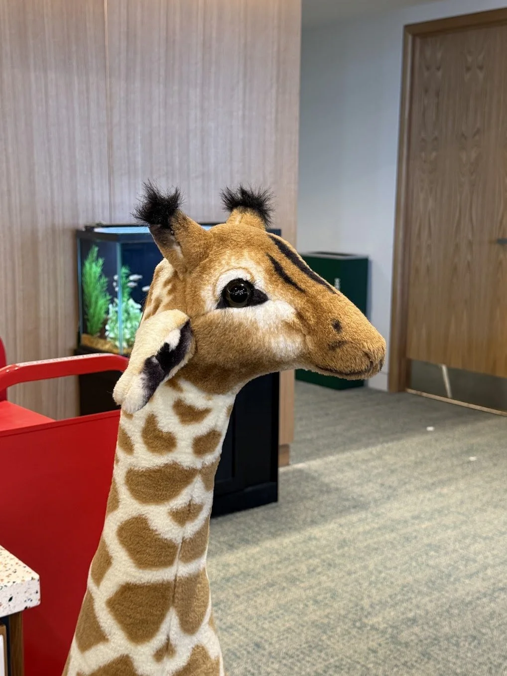 Belmont childrens 8.JPG