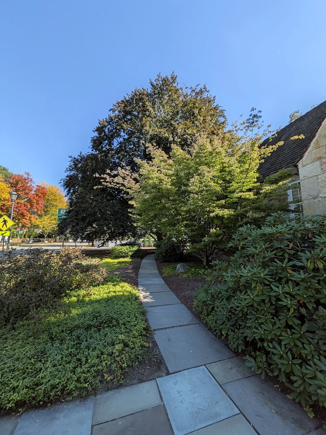 Hills - ext - 3.jpg