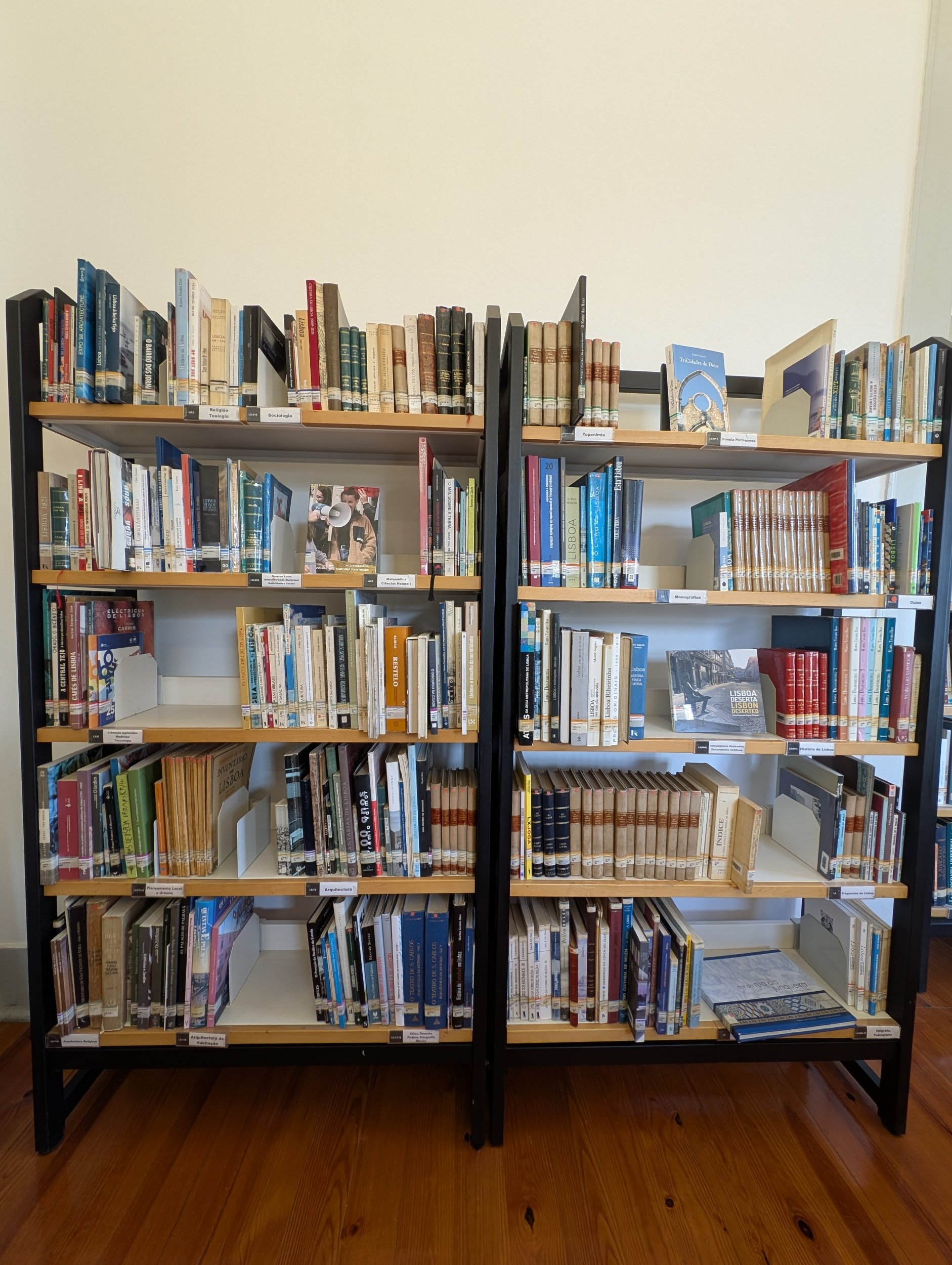 lis - shelves.jpg