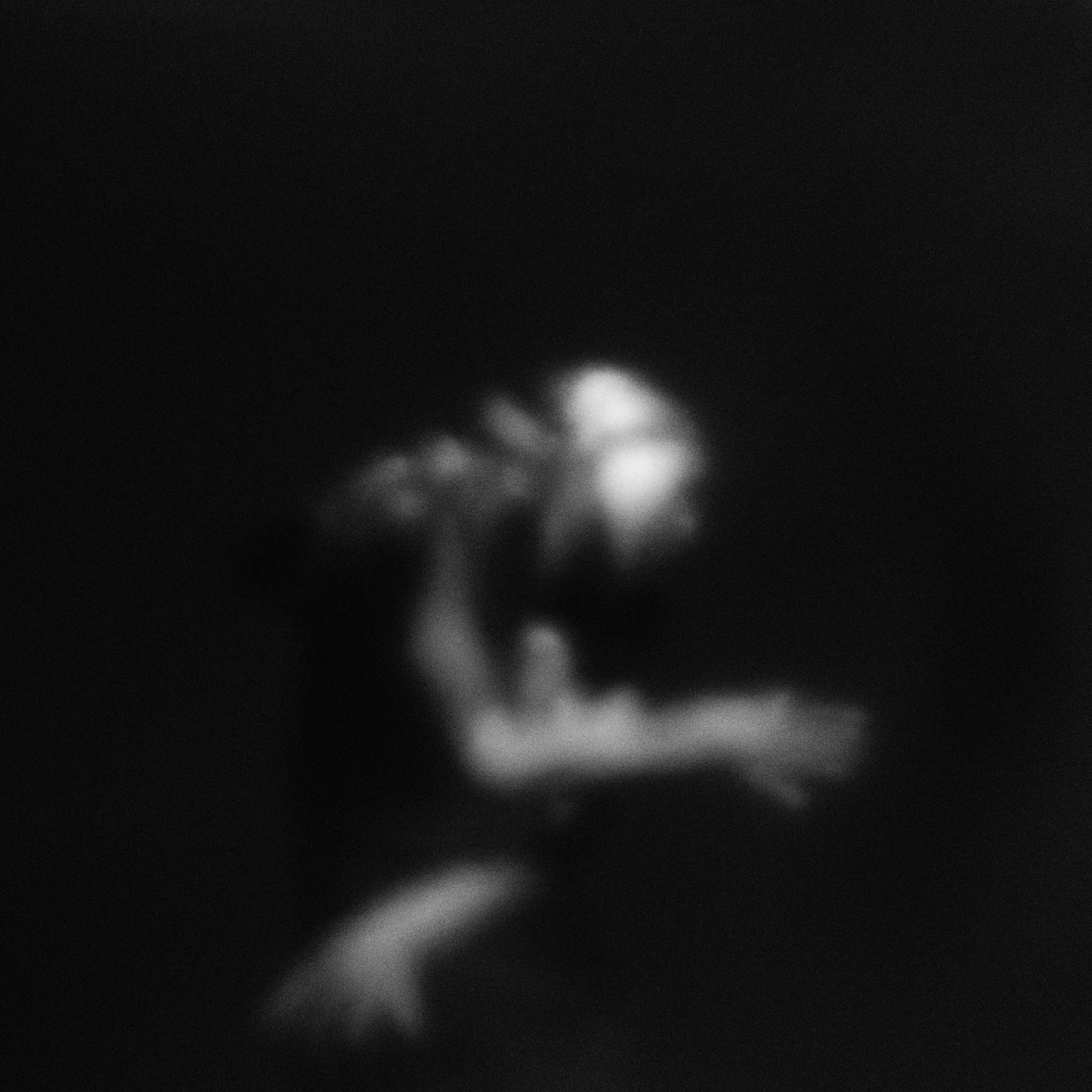 DSCF7559.jpg