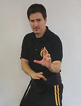 sifu2.png
