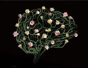 POP-UP Emotional Intelligence Workshop