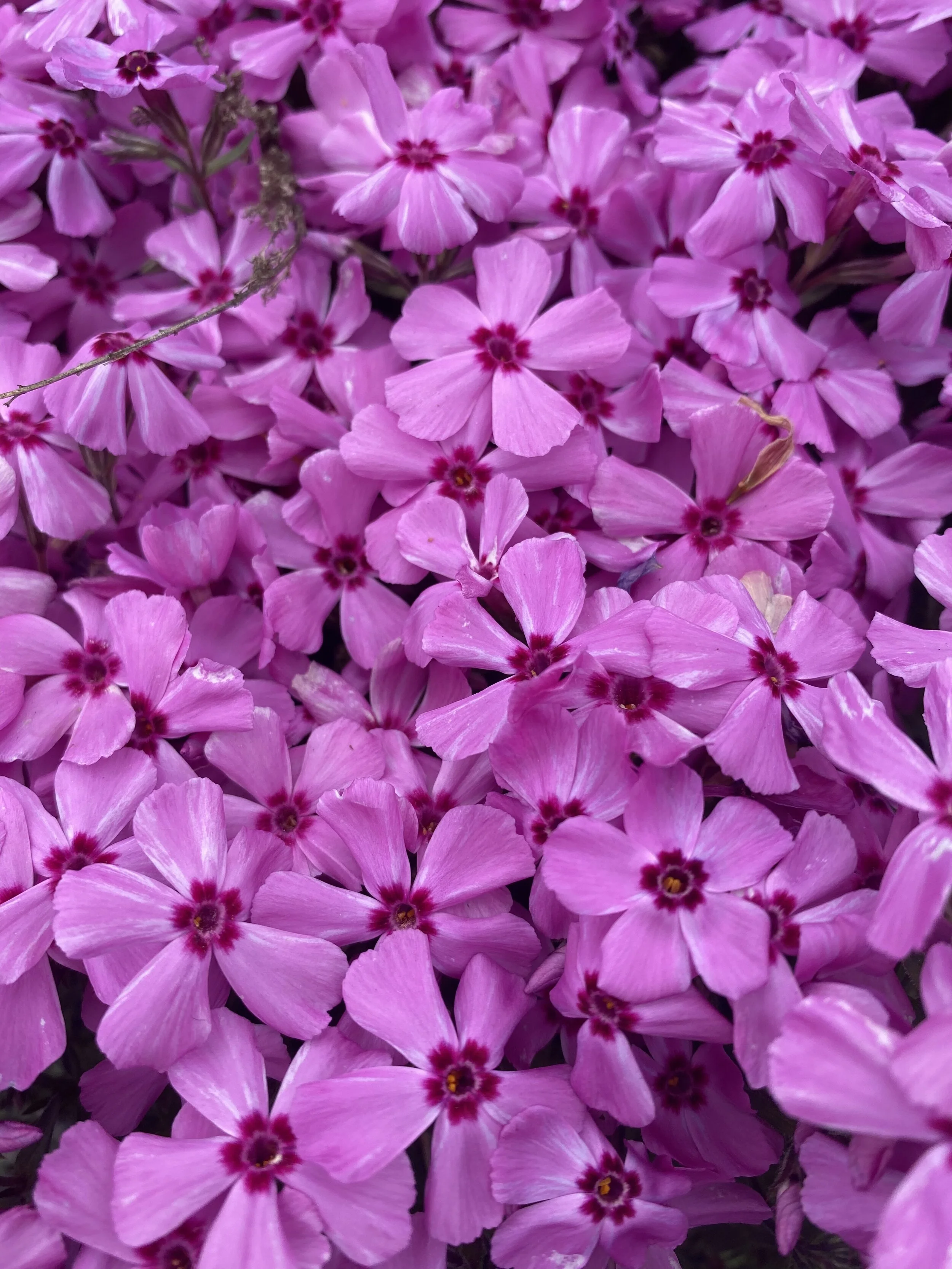 5 Female Authors Who Just Get It