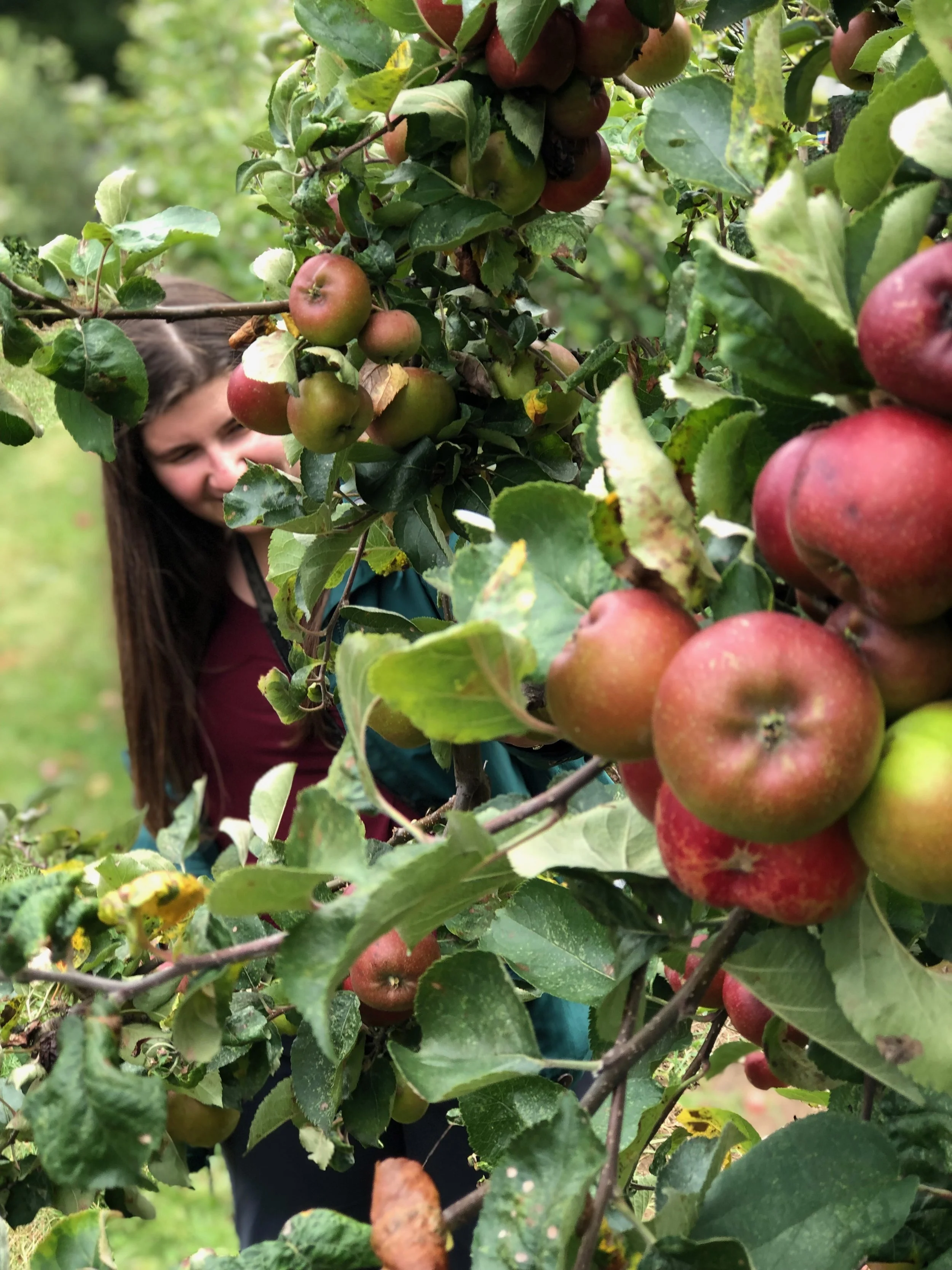 REAL TALK WITH DANIELLE - What the F&amp;@% is this Blog About?!