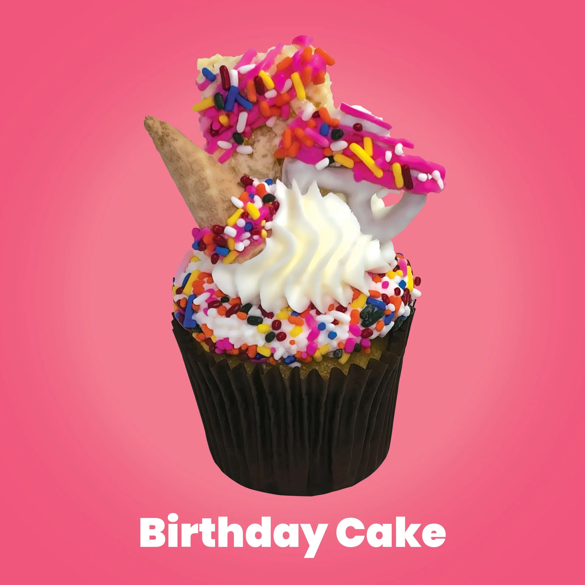 Birthday CakeF9557B Background Color.jpg