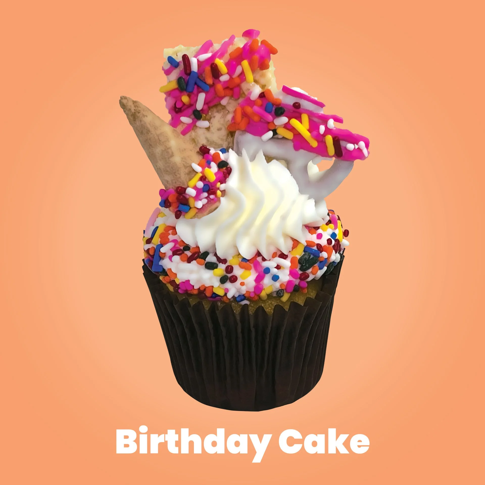 Birthday CakeFA9F6B Background Color.jpg