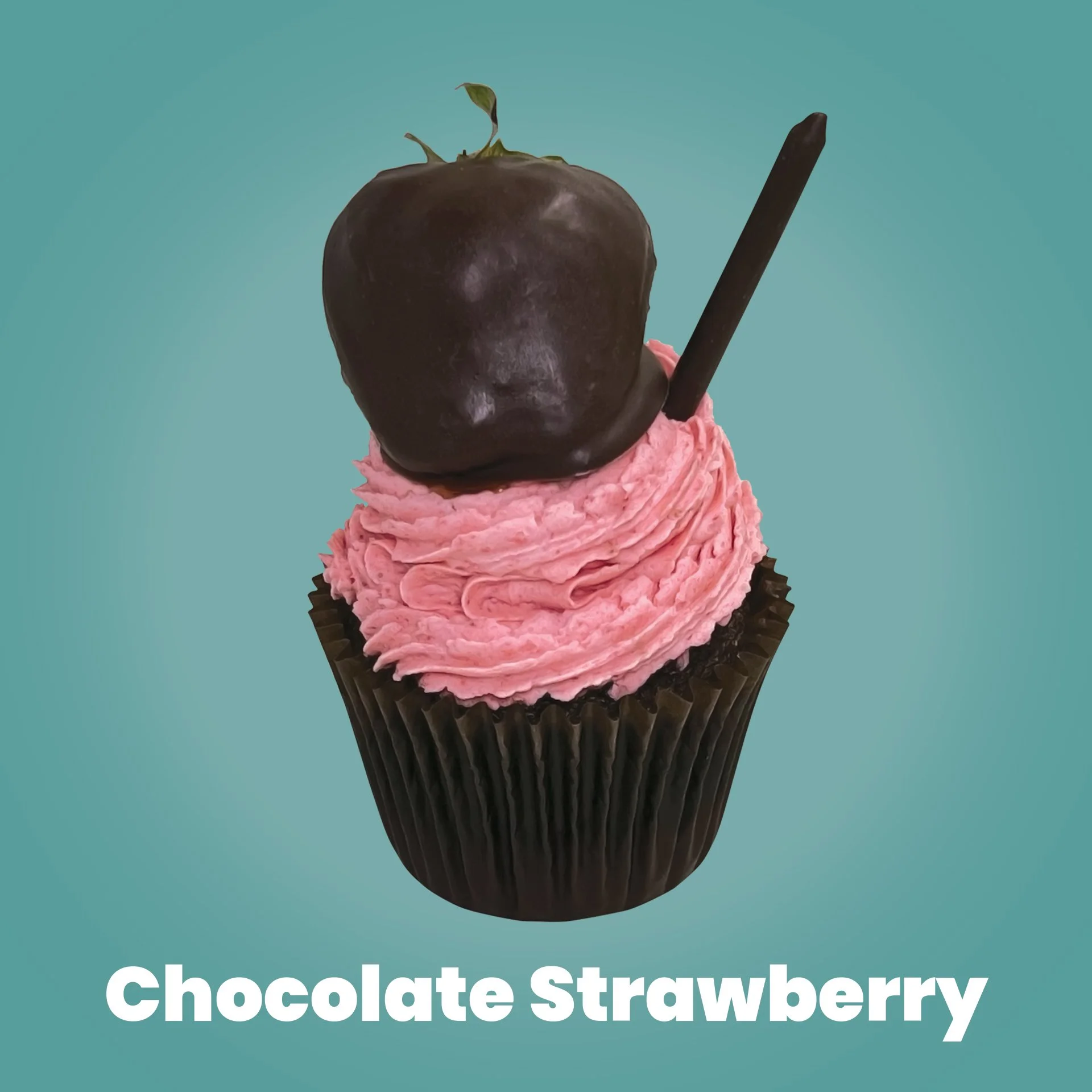 Chocolate StrawberryF9557B Background Color79D9C Background Color.jpg