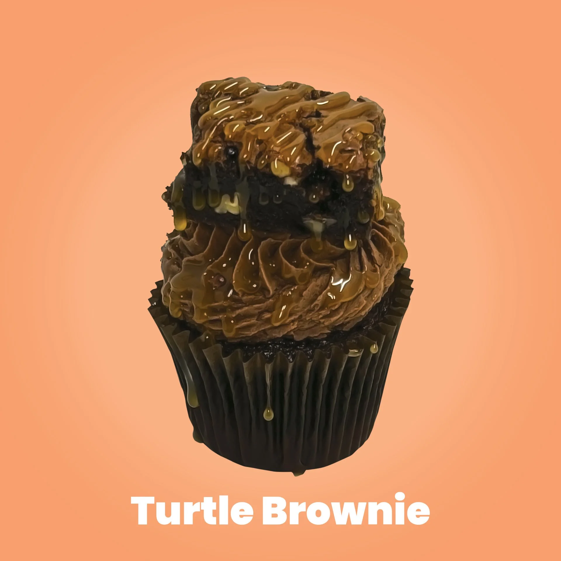 Turtle BrownieFA9F6B Background Color.jpg