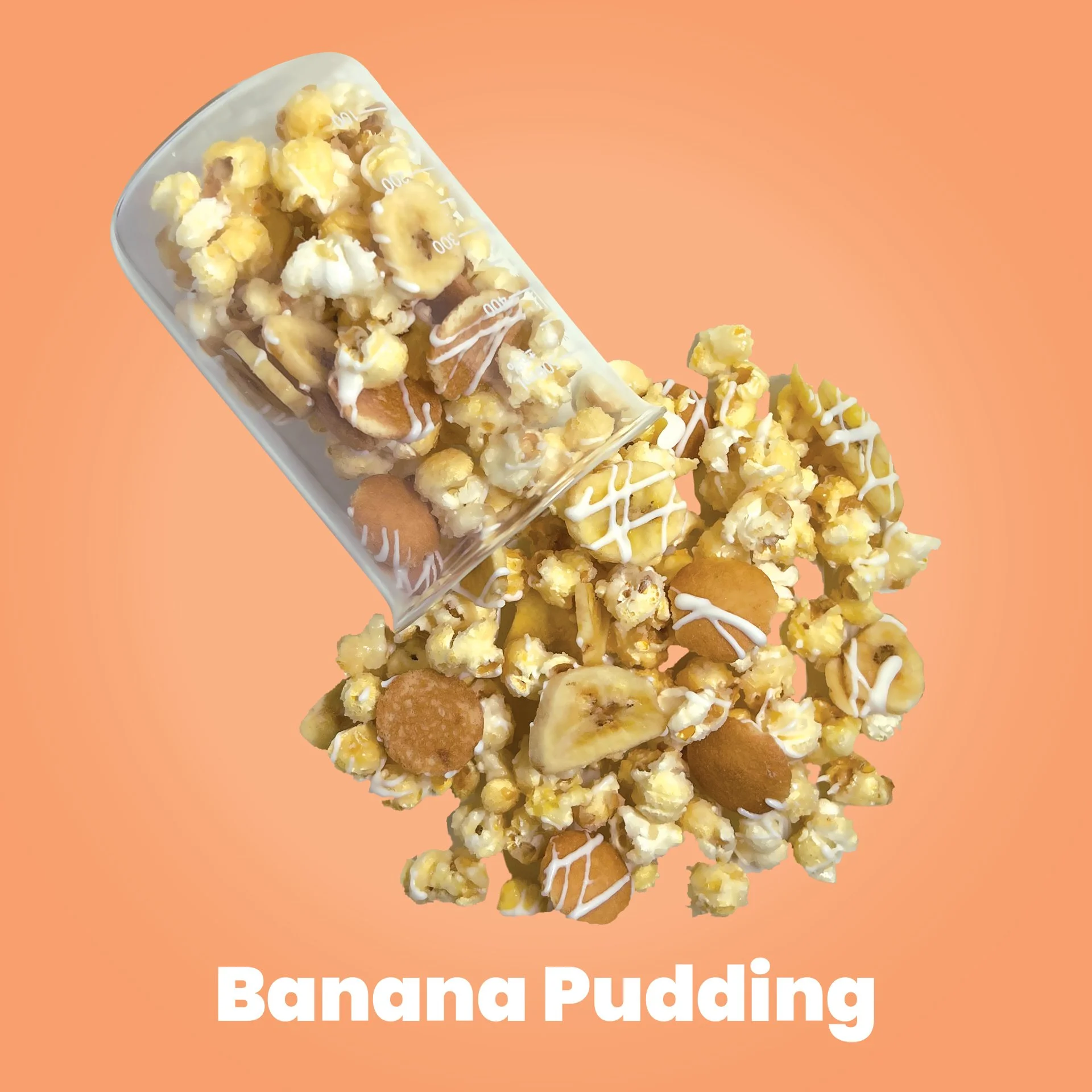 Banana-PuddingFA9F6B Background Color 2.jpg
