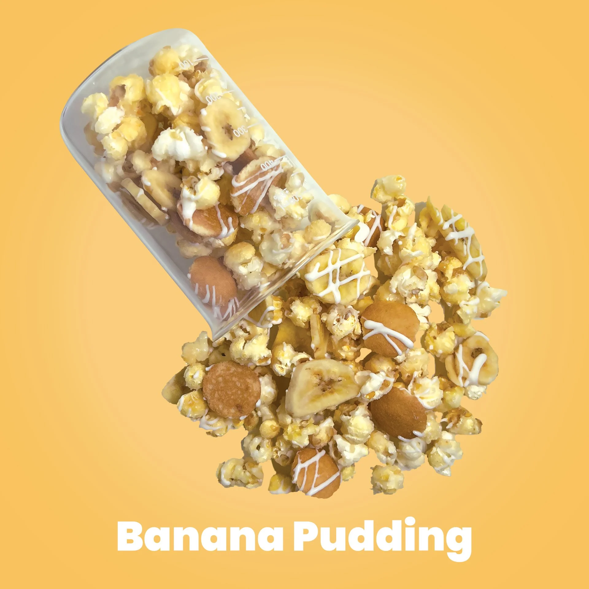 Banana-PuddingFA9F6B Background Color.jpg