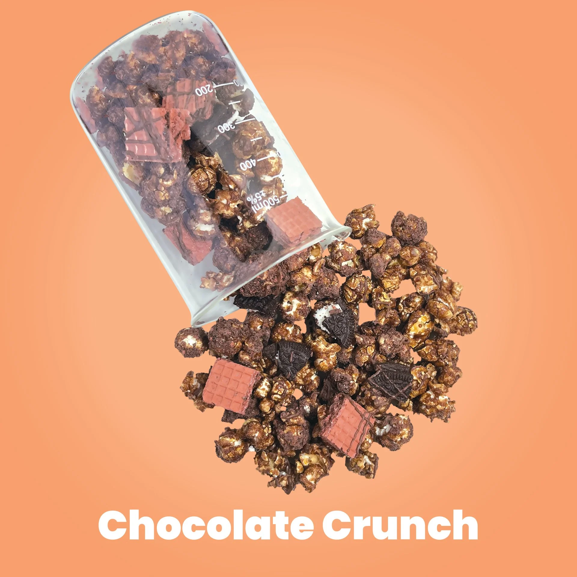 Chocolate-CrunchFA9F6B Background Color 2.jpg