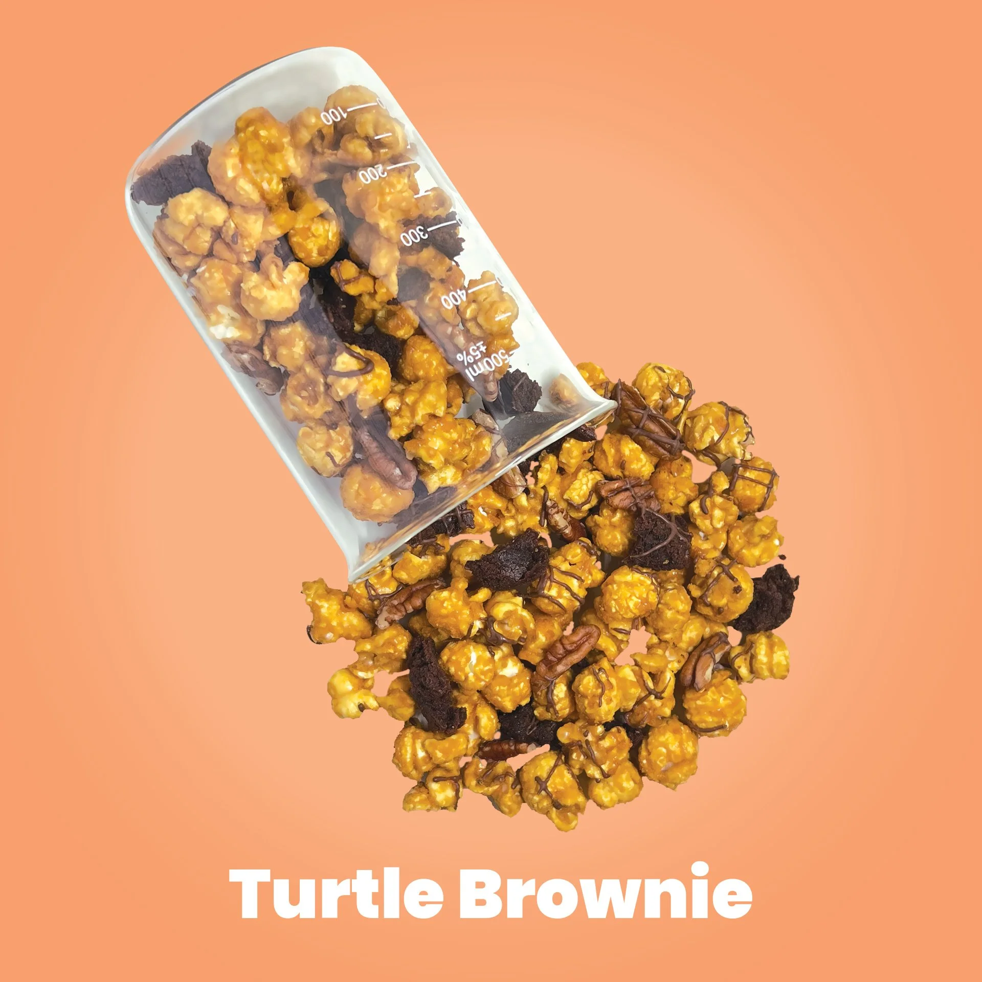 Turtle-BrownieFA9F6B Background Color 2.jpg