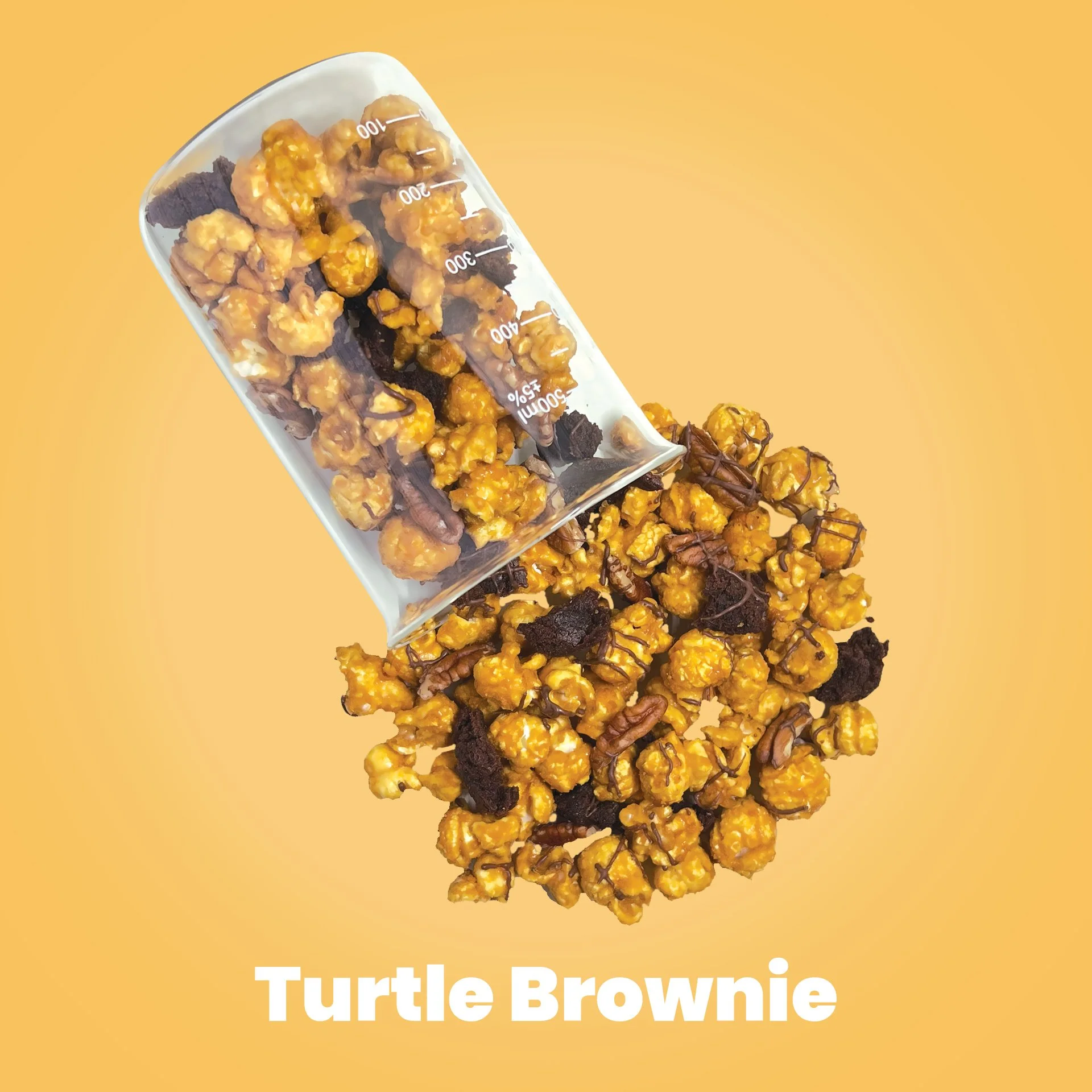 Turtle-BrownieFA9F6B Background Color.jpg