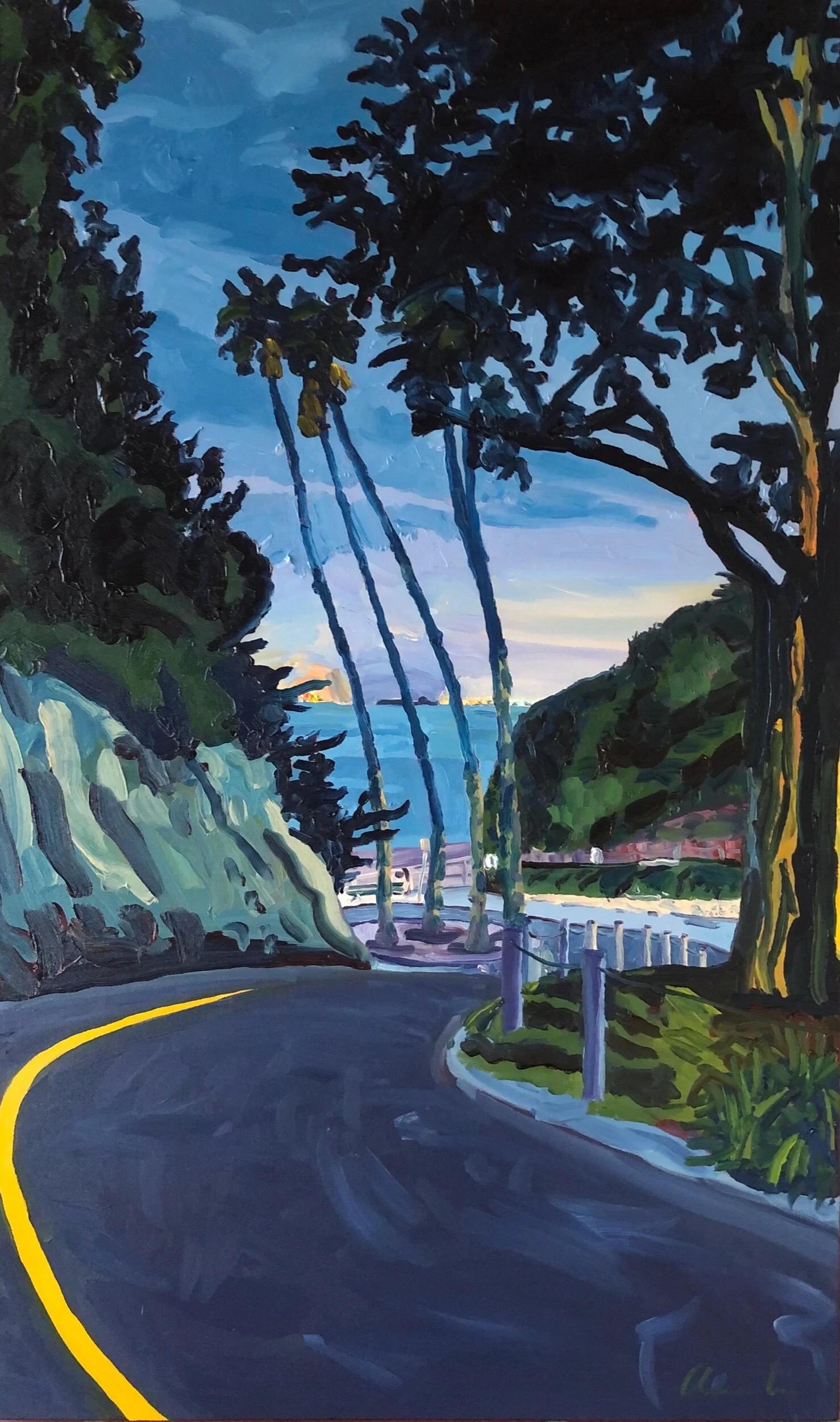 “Hope Ranch Beach at Night”