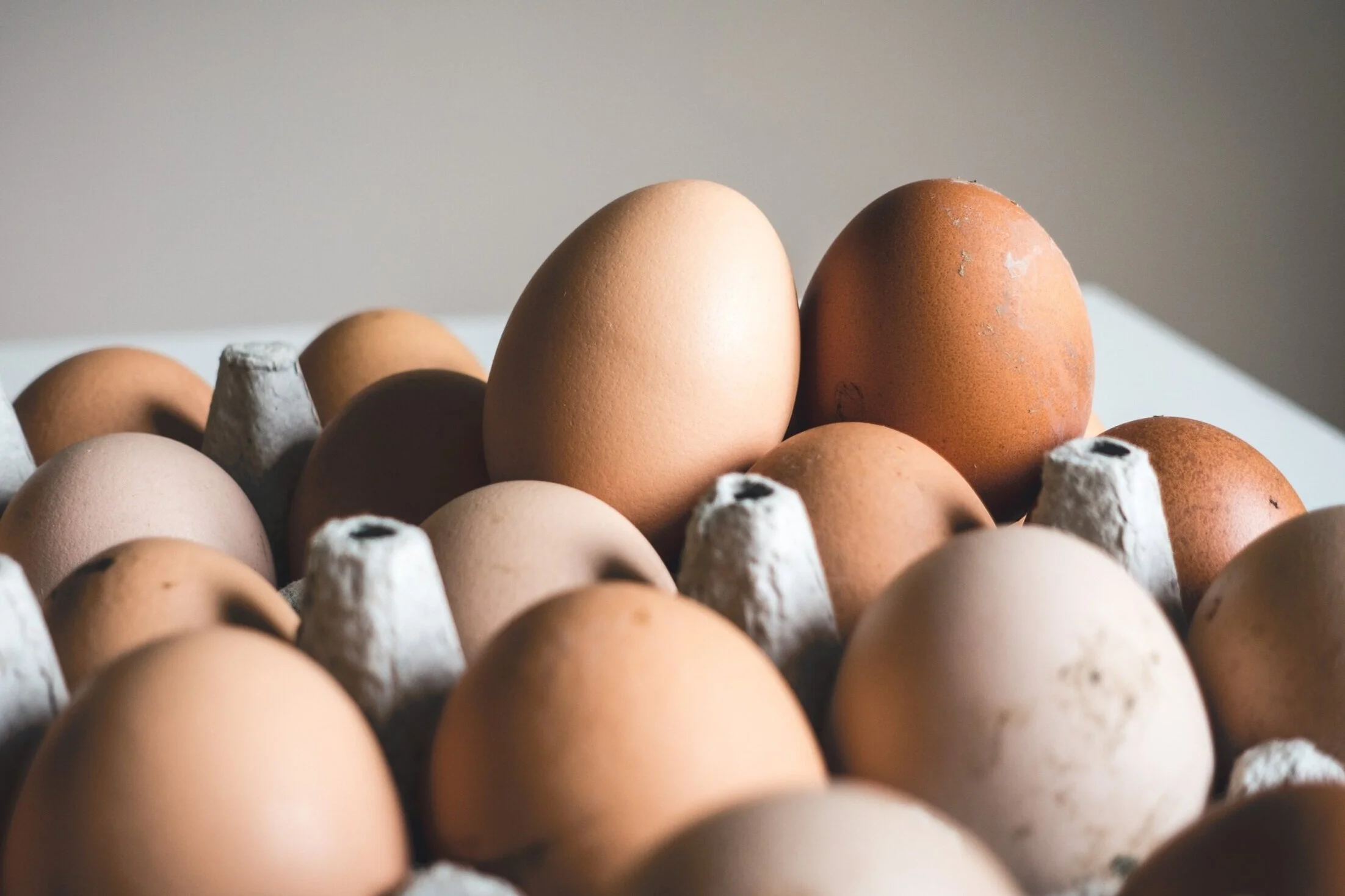 Boundaries and Vulnerability - The Egg and I