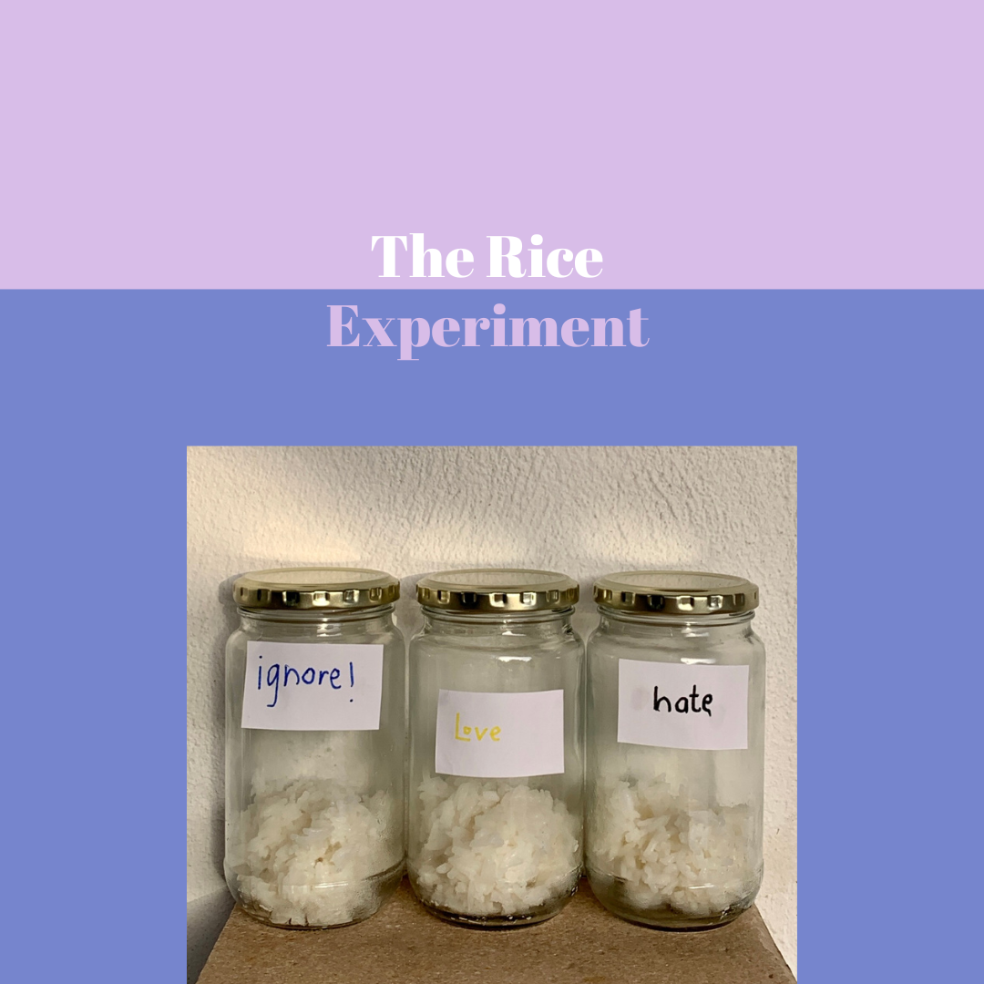 The Power of Words - The Rice Experiment