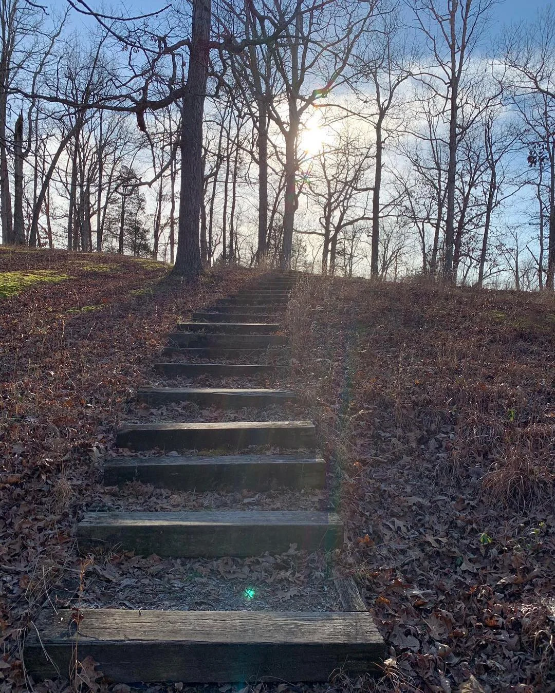Dixon Springs by Kelli Phelps
