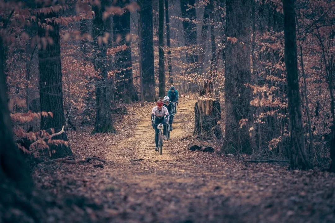 Shawnee National Forest by Antonio Jacob Martinez