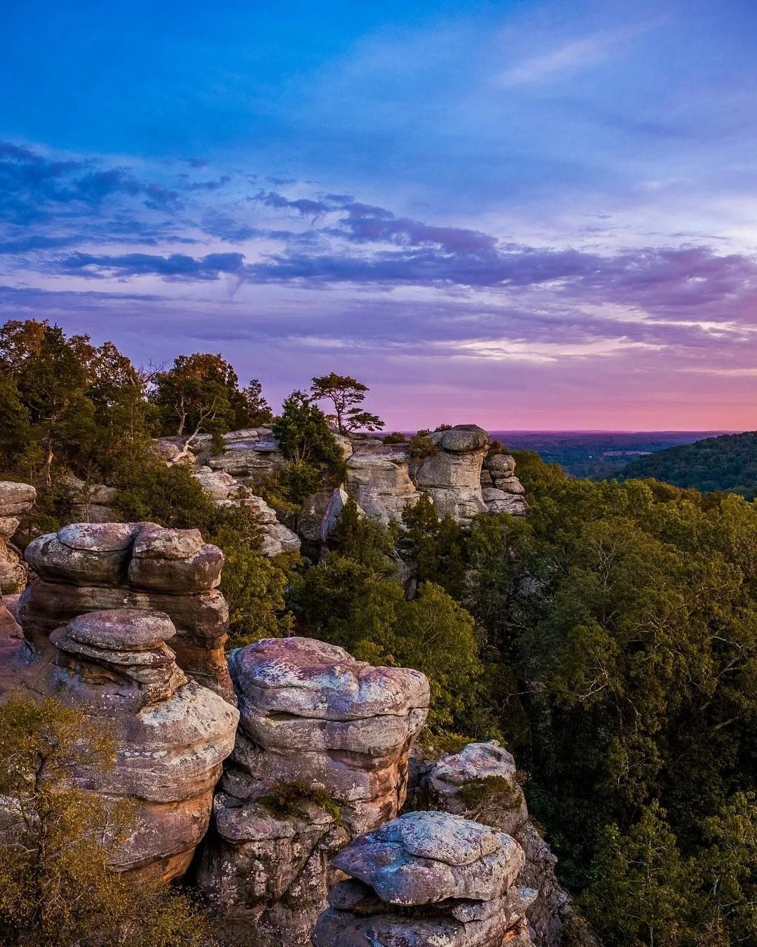 Garden of the Gods by Tori Carriuolo