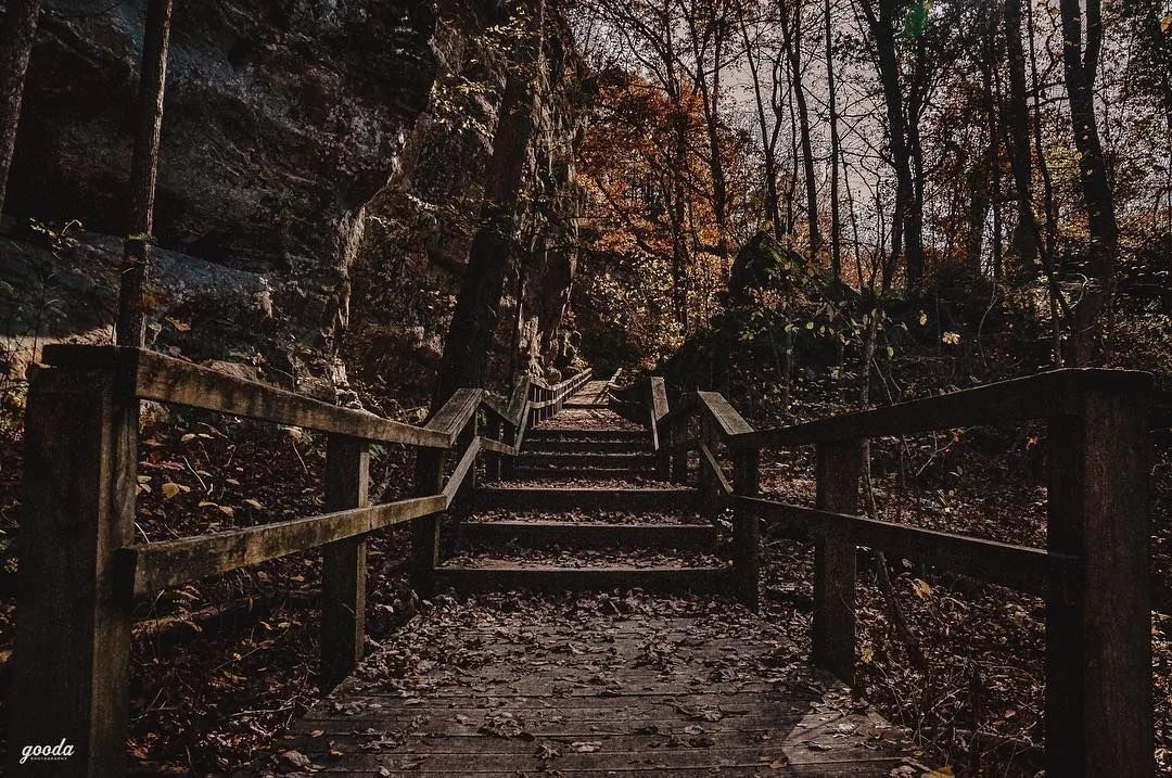 Giant City State Park by @iamgooda