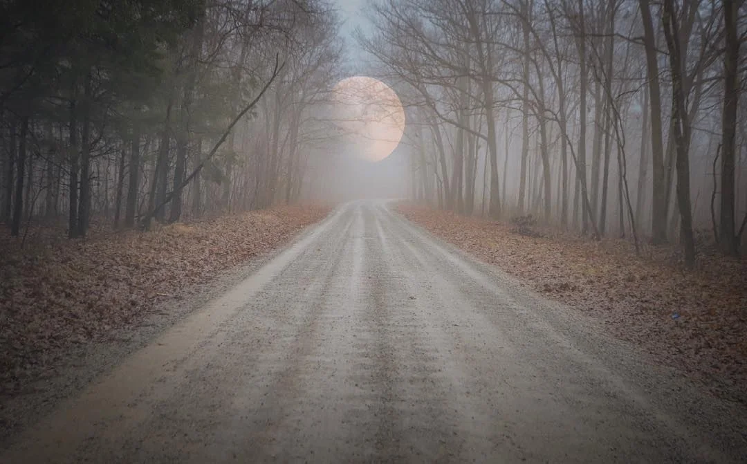 Shawnee National Forest by @b_d_moore