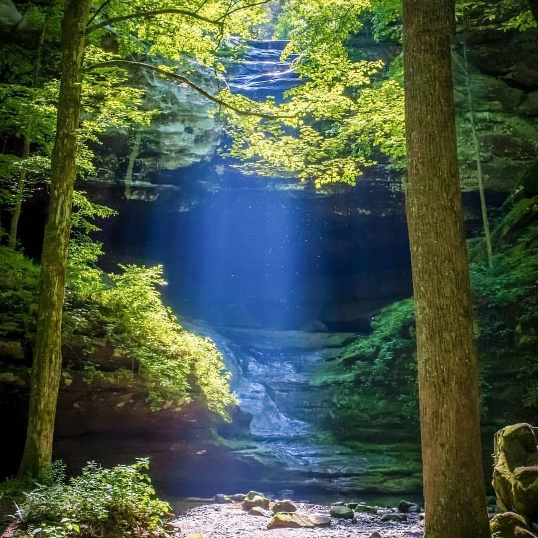 Ferne Clyffe State Park by Grant Twiss
