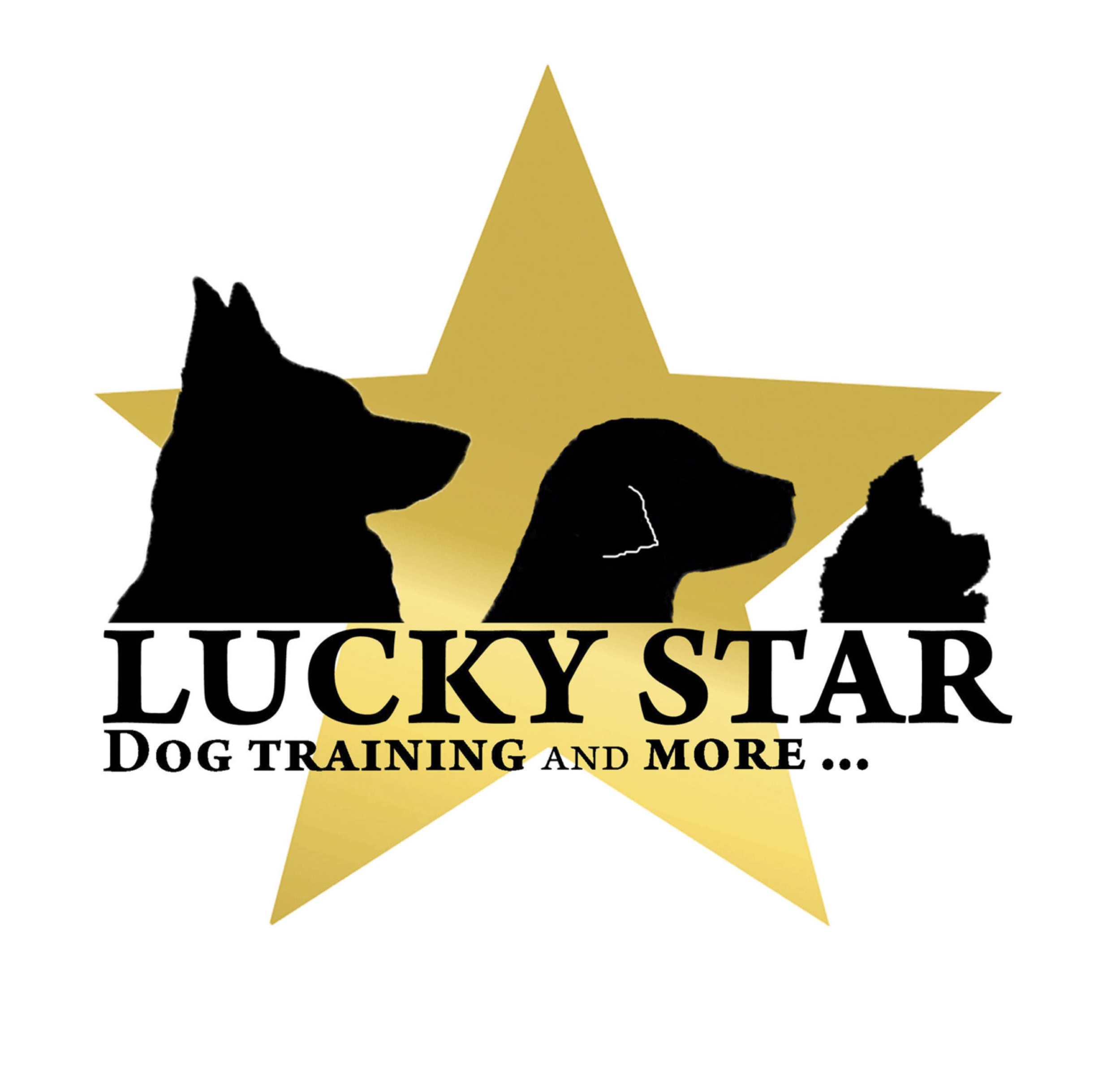 Lucky Star Dog Training