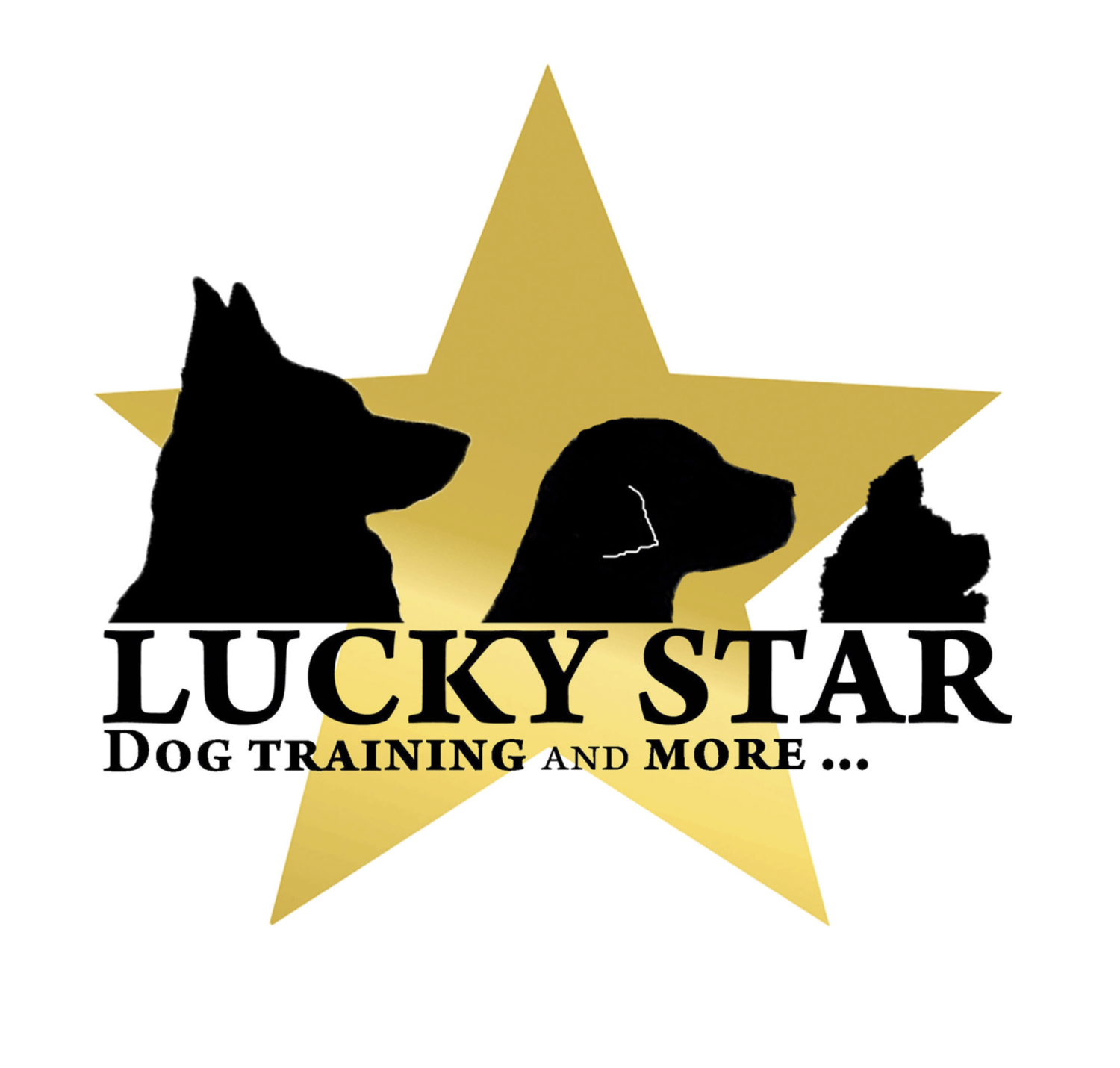 Lucky Star Dog Training