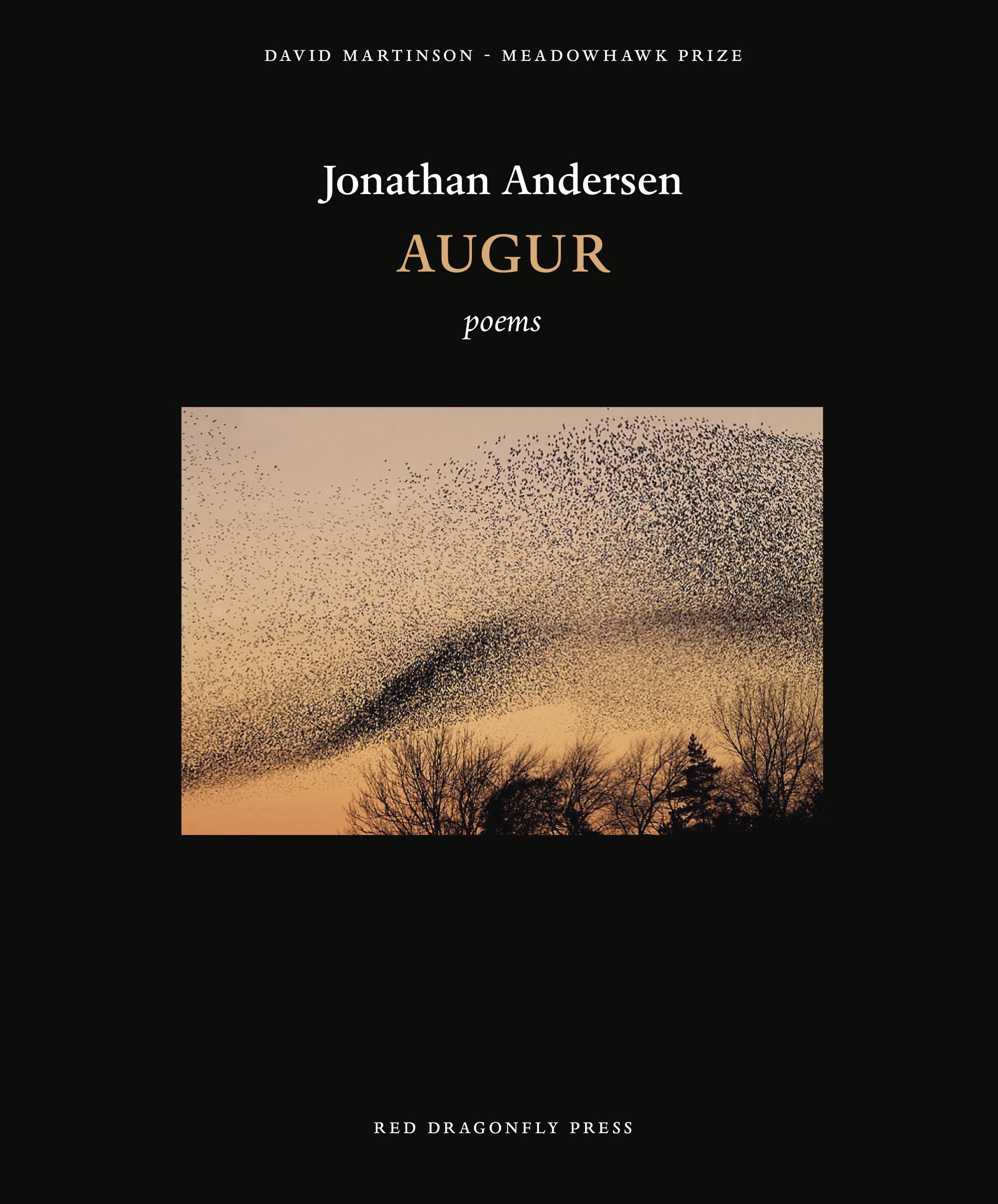 2017 • Augur by Jonathan Andersen