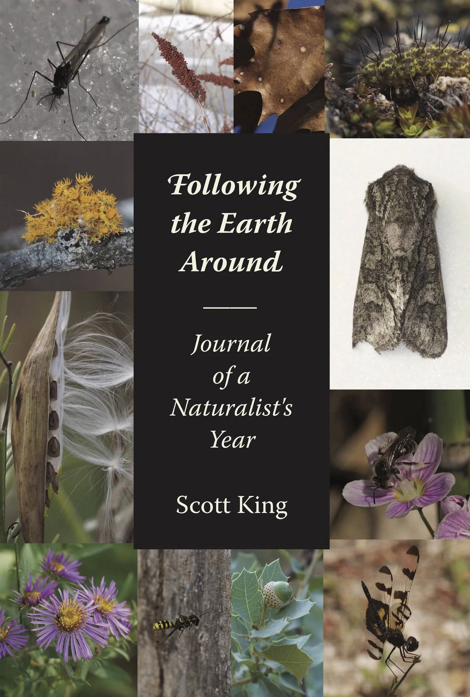 Following the Earth Around: Journal of a Naturalist's Year