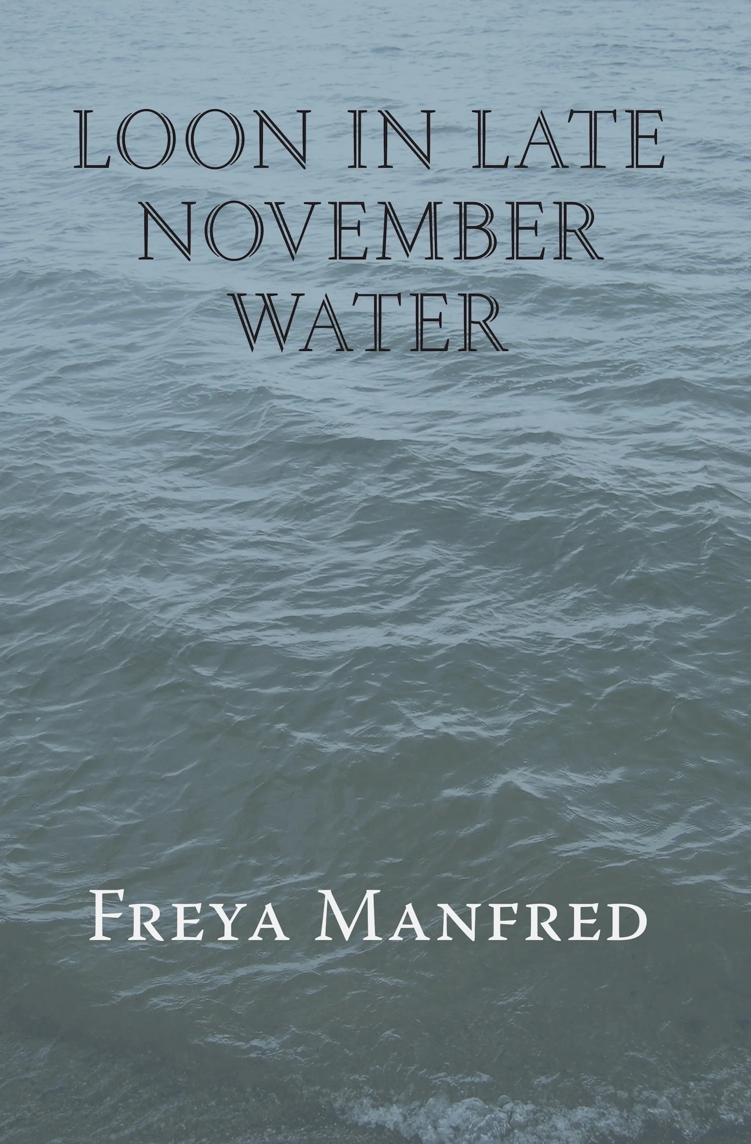 Loon In Late November Water