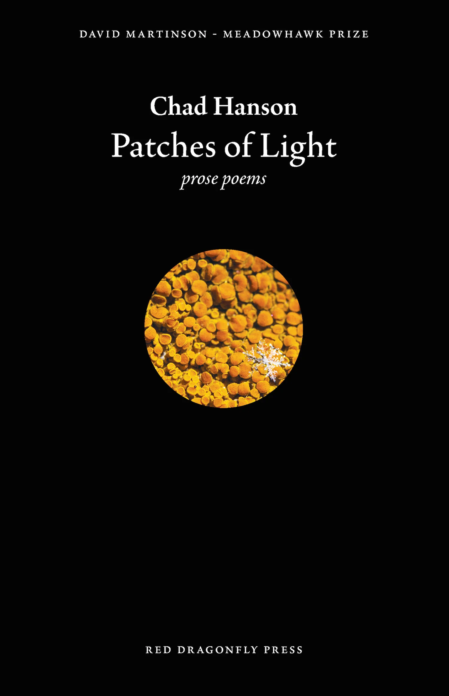 Patches of Light (ePub)