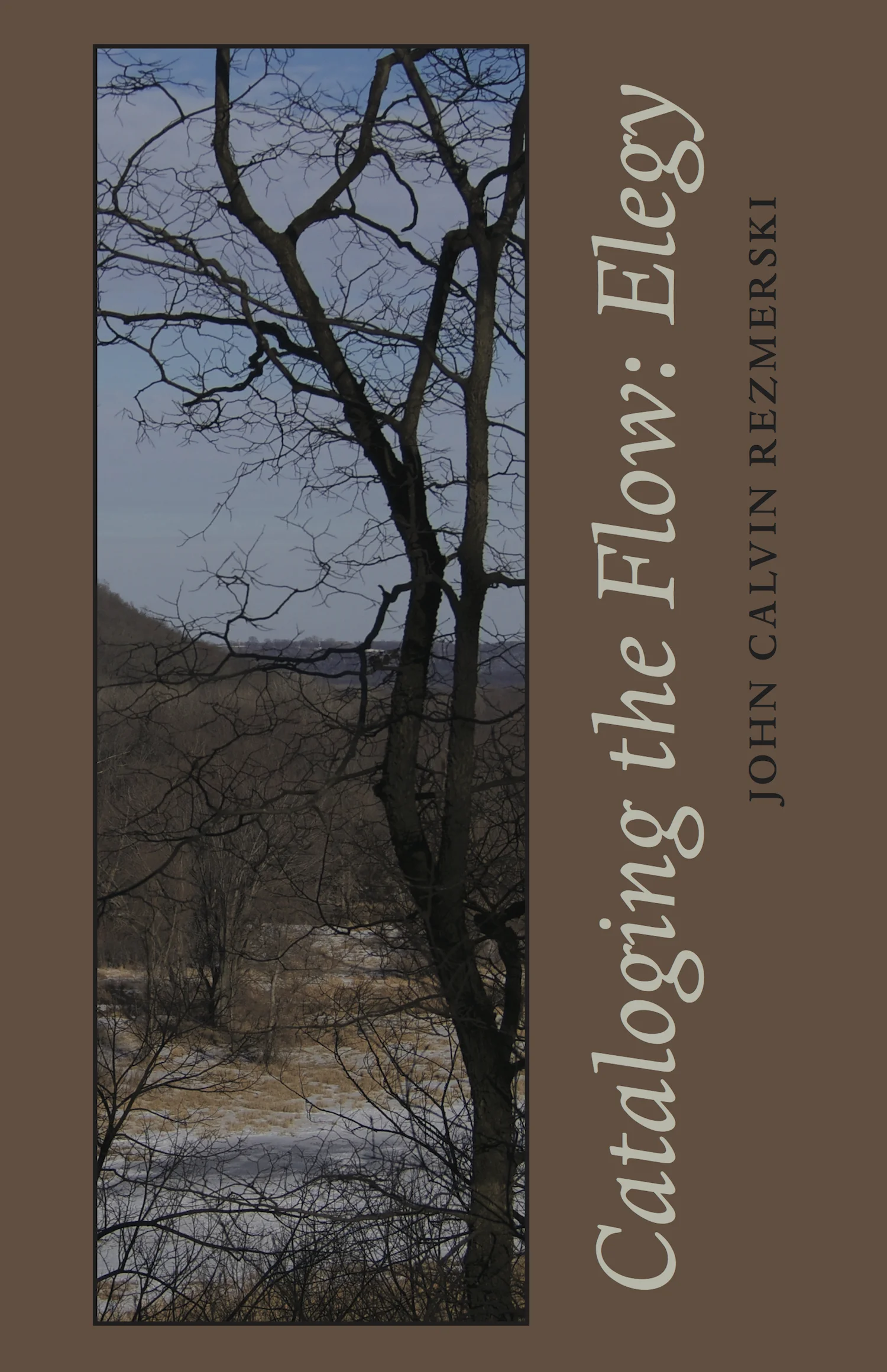 Cataloging The Flow: Elegy