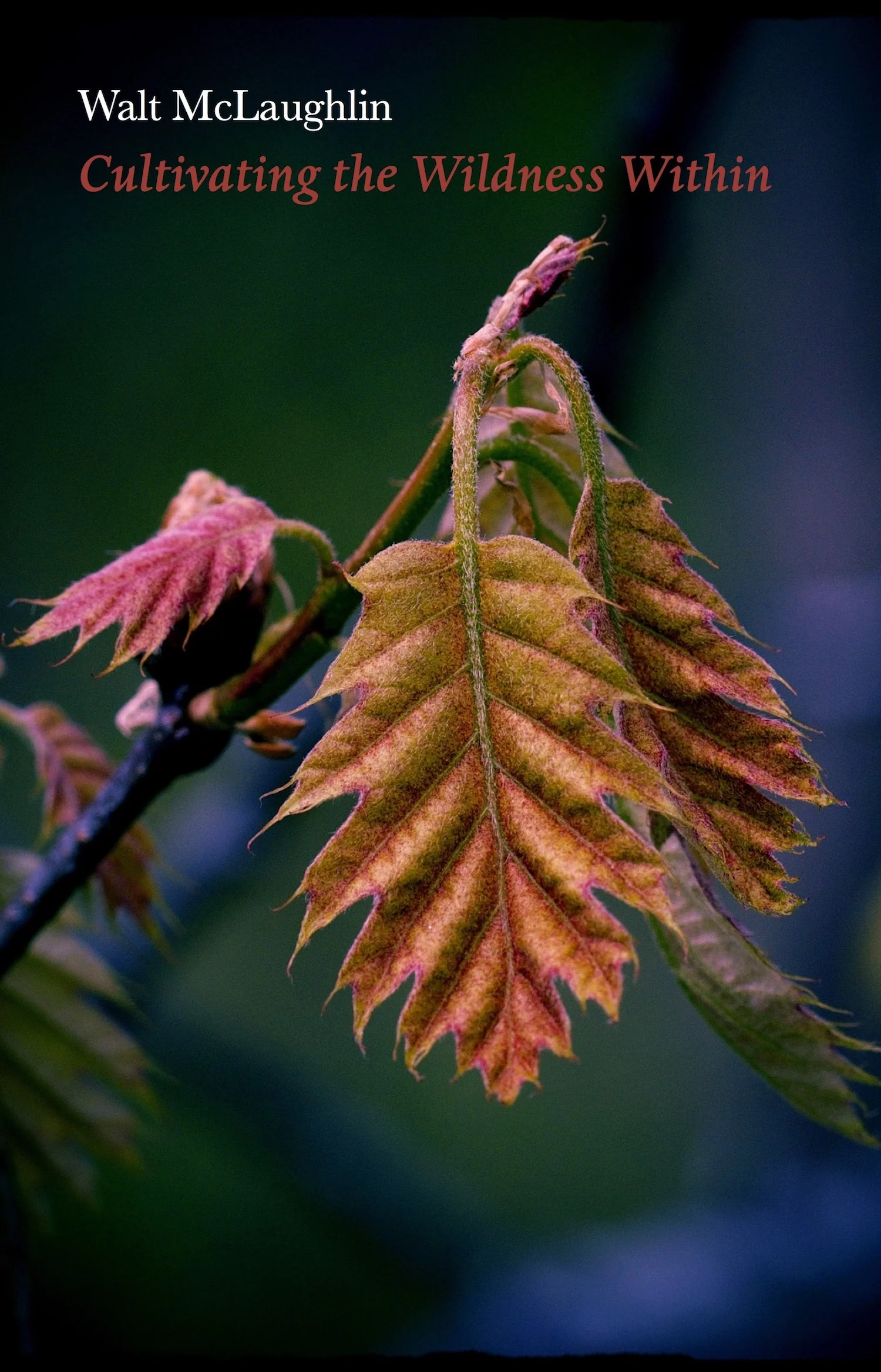 Cultivating The Wildness Within