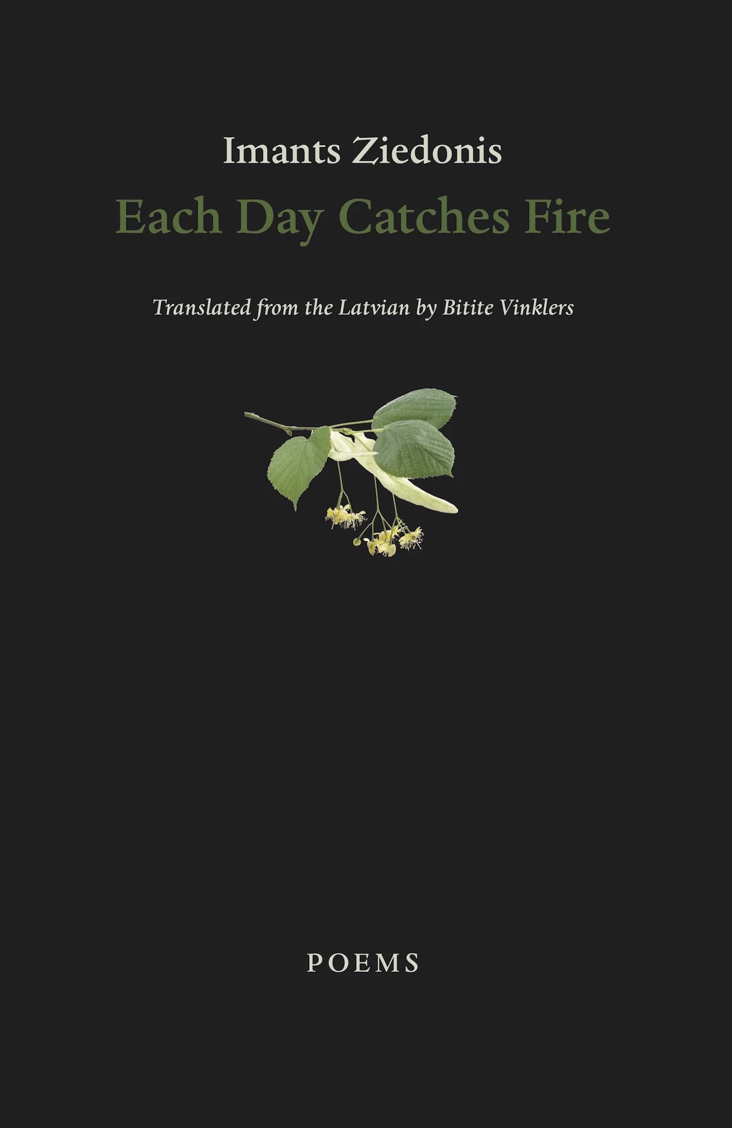 Each Day Catches Fire
