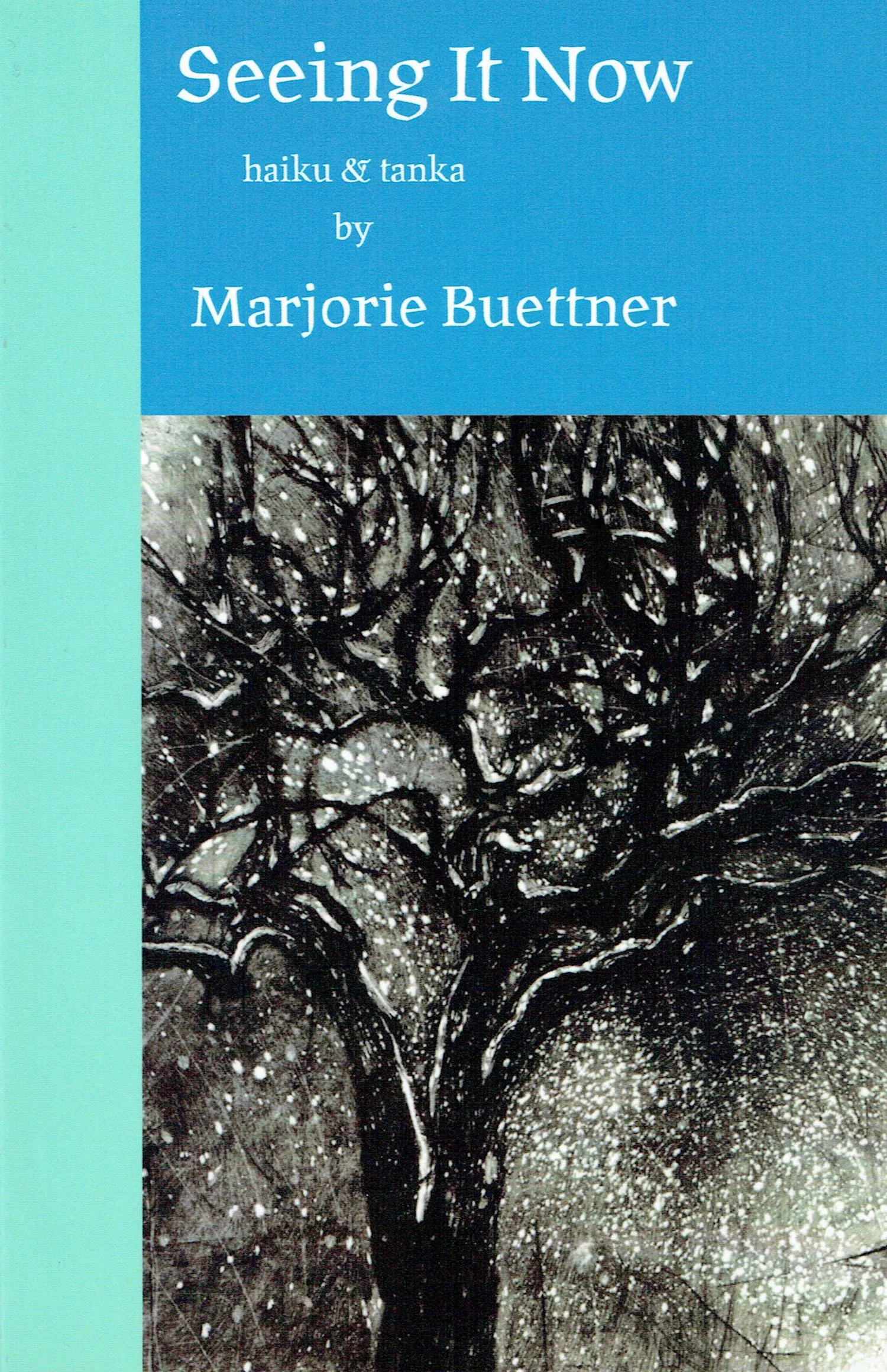 Seeing It Now: Haiku And Tanka