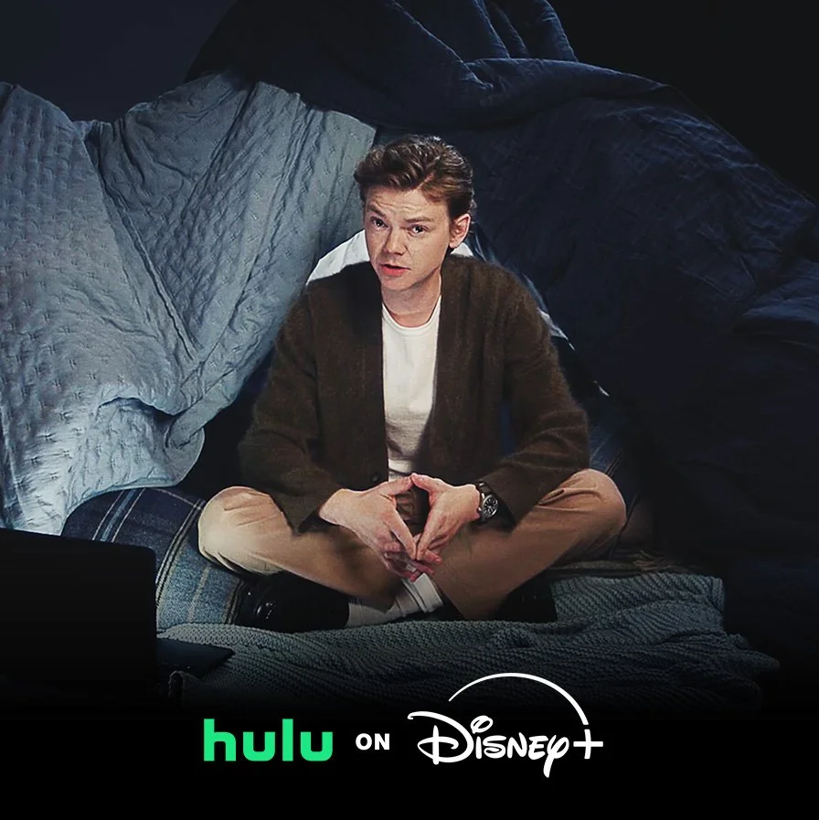 Hulu On Disney Campaign