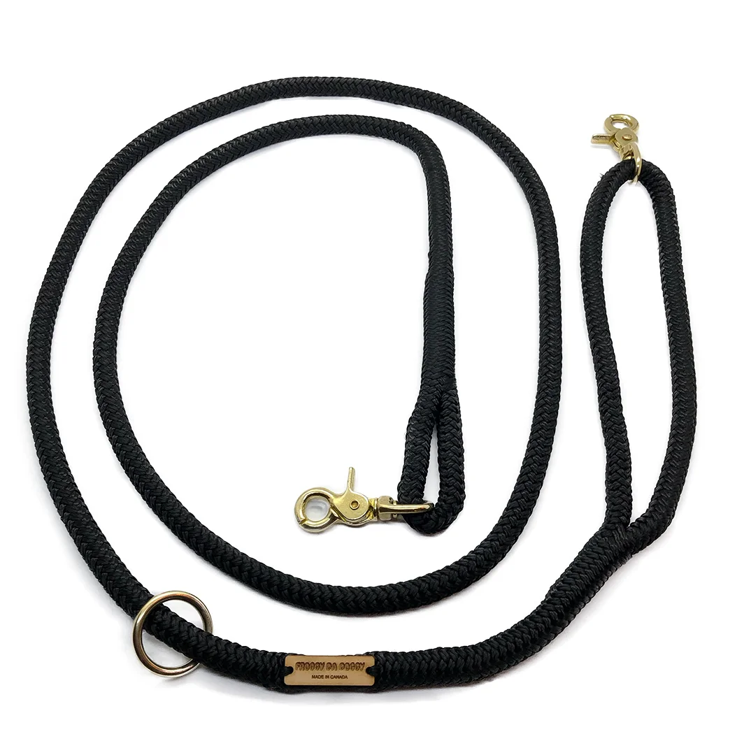 double leash for one dog